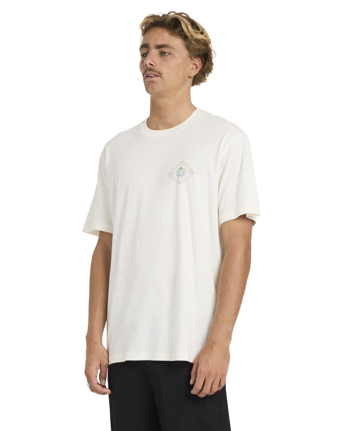 Billabong T-Shirt Agave A/DIV Premium – Bild 4 von 5