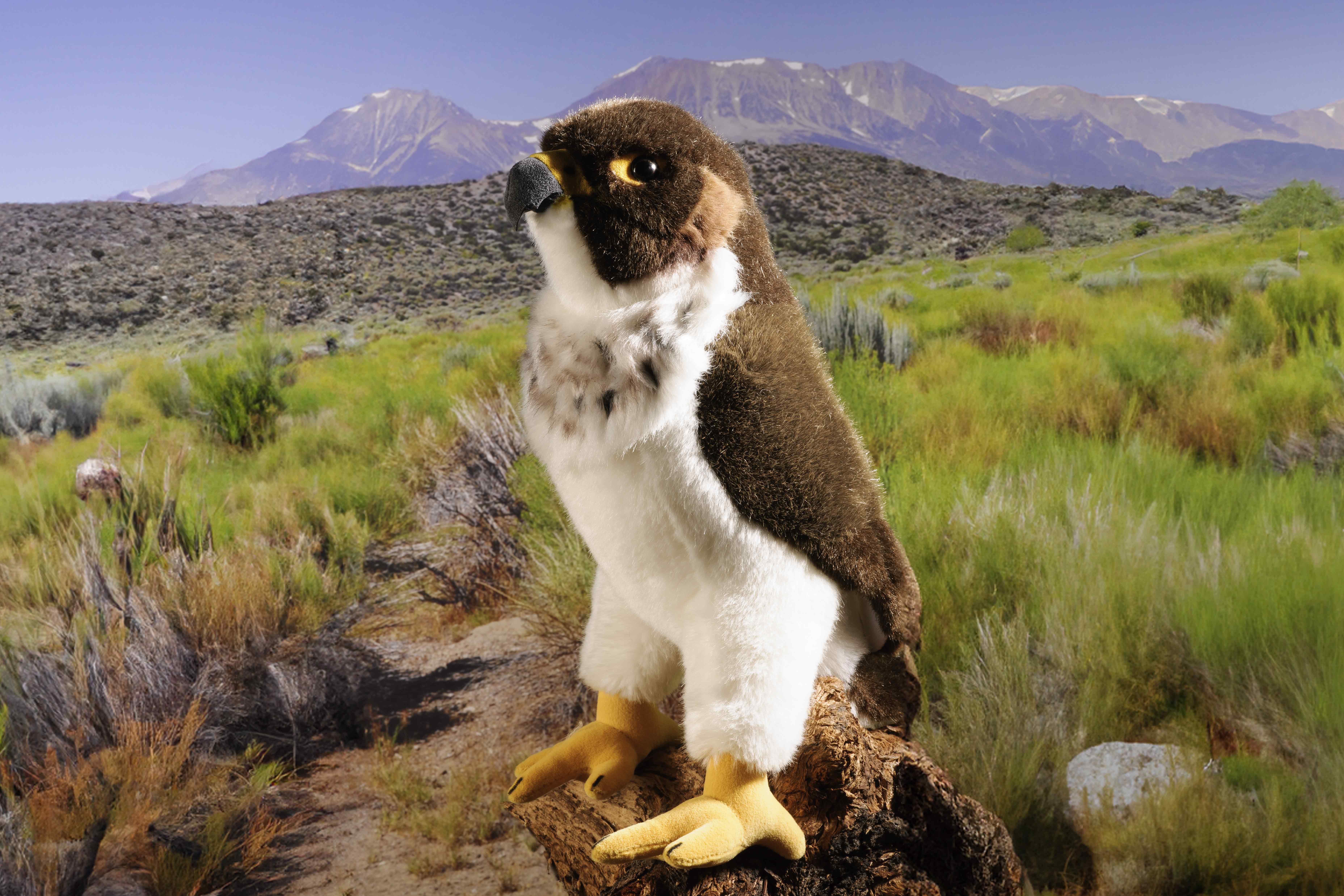 Kösen Kuscheltier Kösen Wanderfalke braun/weiß