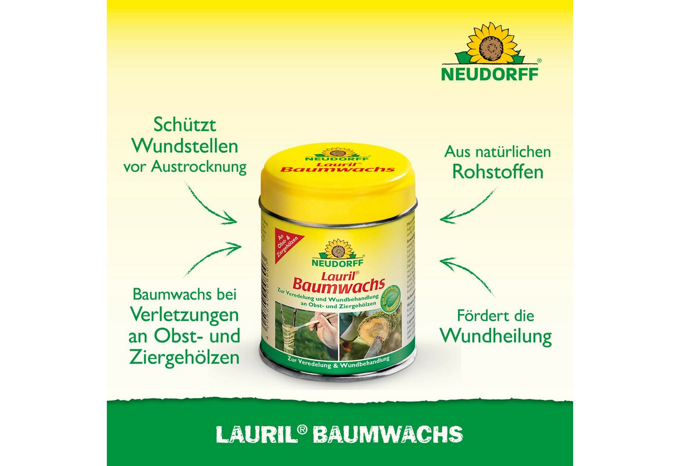 Thumbnail - Neudorff Baumwachs Lauril Baumwachs 125 g, 125 g, aus natürlichen Rohstoffen, pflanzenverträglich, trocknet innerhalb vo...