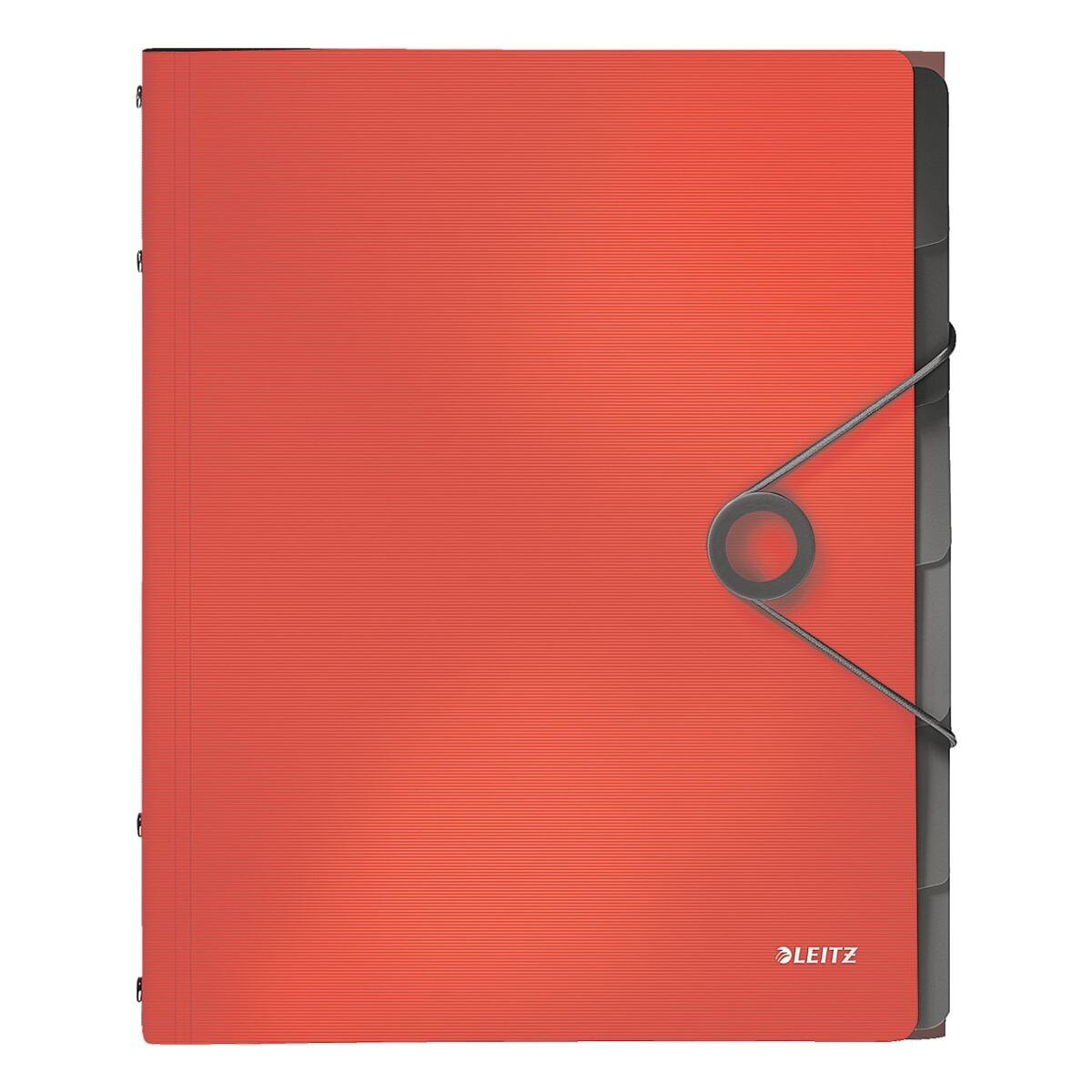 LEITZ Organisationsmappe Solid 4569, Ordnungsmappe mit 6 Fächern, Inhaltverzeichnis, 3 Schutzklappen, A4