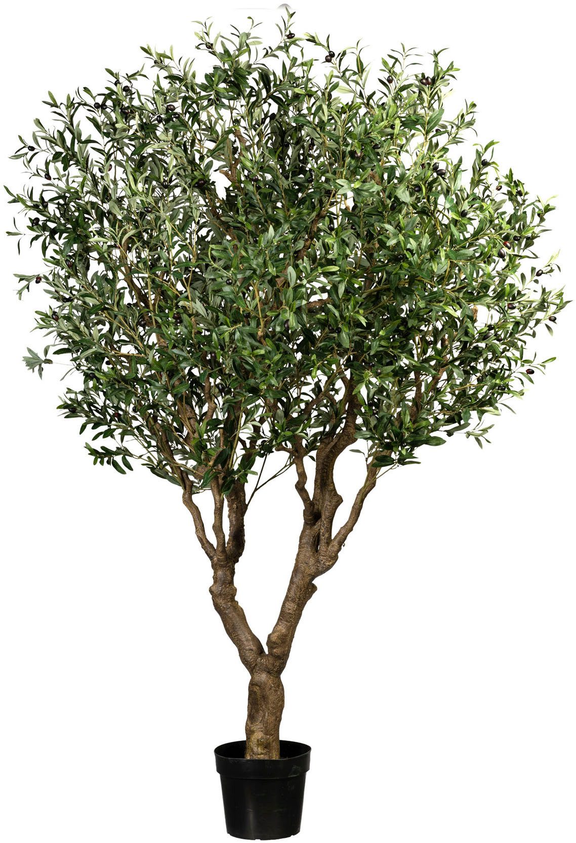 Kunstbaum Olive