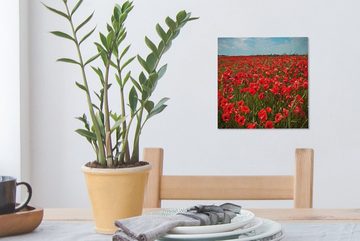 OneMillionCanvasses® Leinwandbild Eine Wiese voller Mohnblumen, (1 St), Leinwand Bilder für Wohnzimmer Schlafzimmer