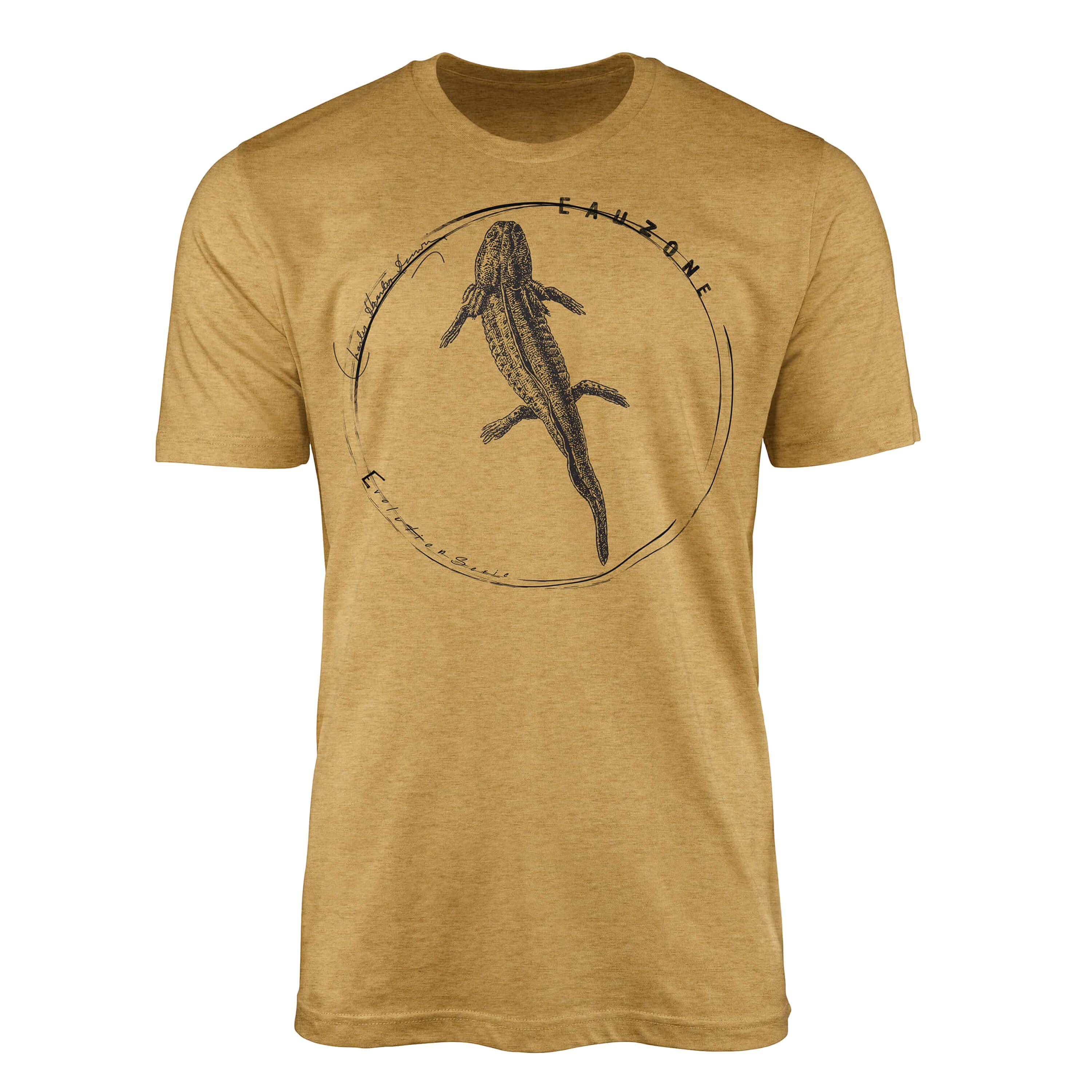 Gold T-Shirt Sinus Antique Axolotl Evolution T-Shirt Herren Art
