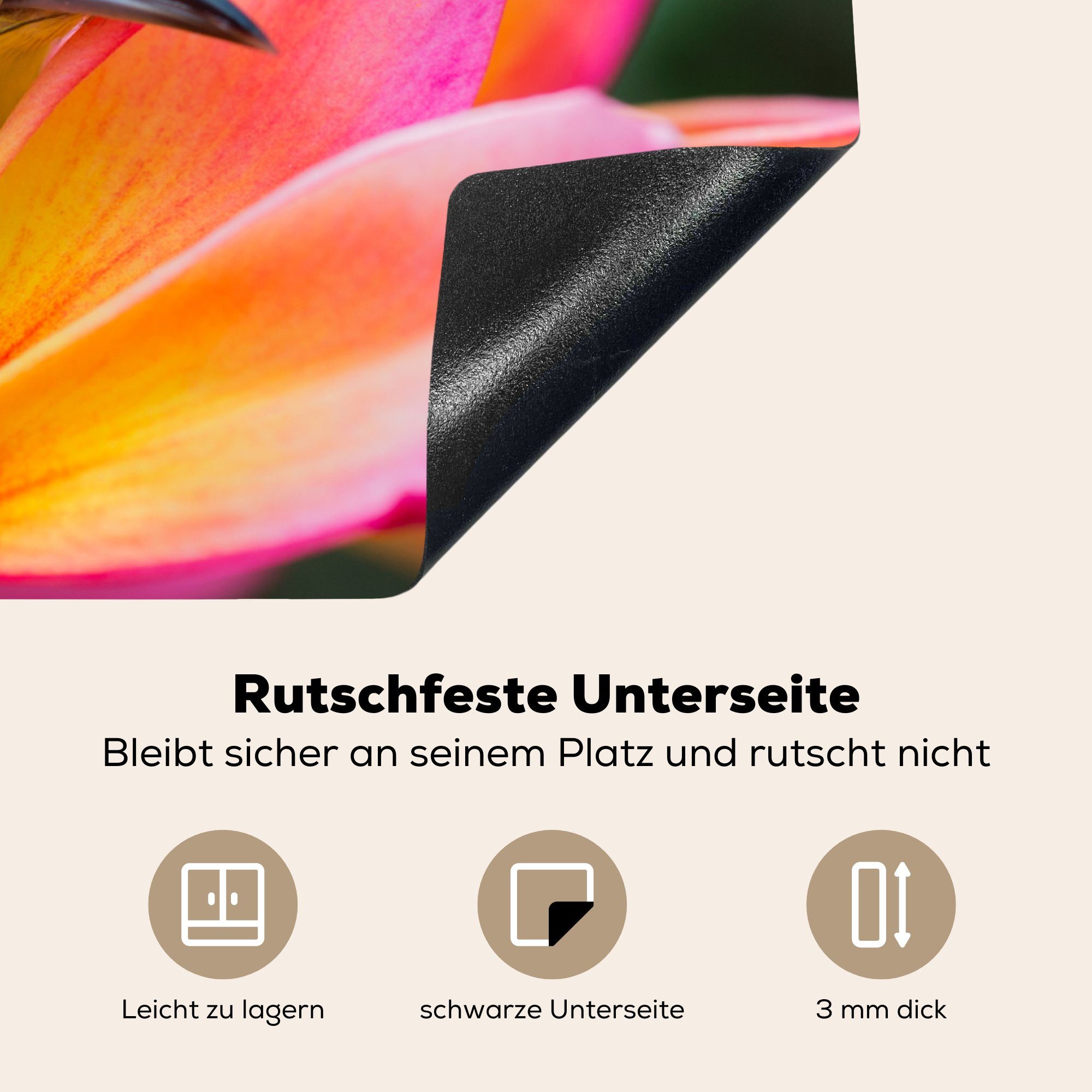 küche, Vogel Herdblende-/Abdeckplatte Tropischer cm, MuchoWow tlg), Induktionskochfeld Ceranfeldabdeckung Vinyl, Blumen, für die zwischen (1 Schutz 81x52