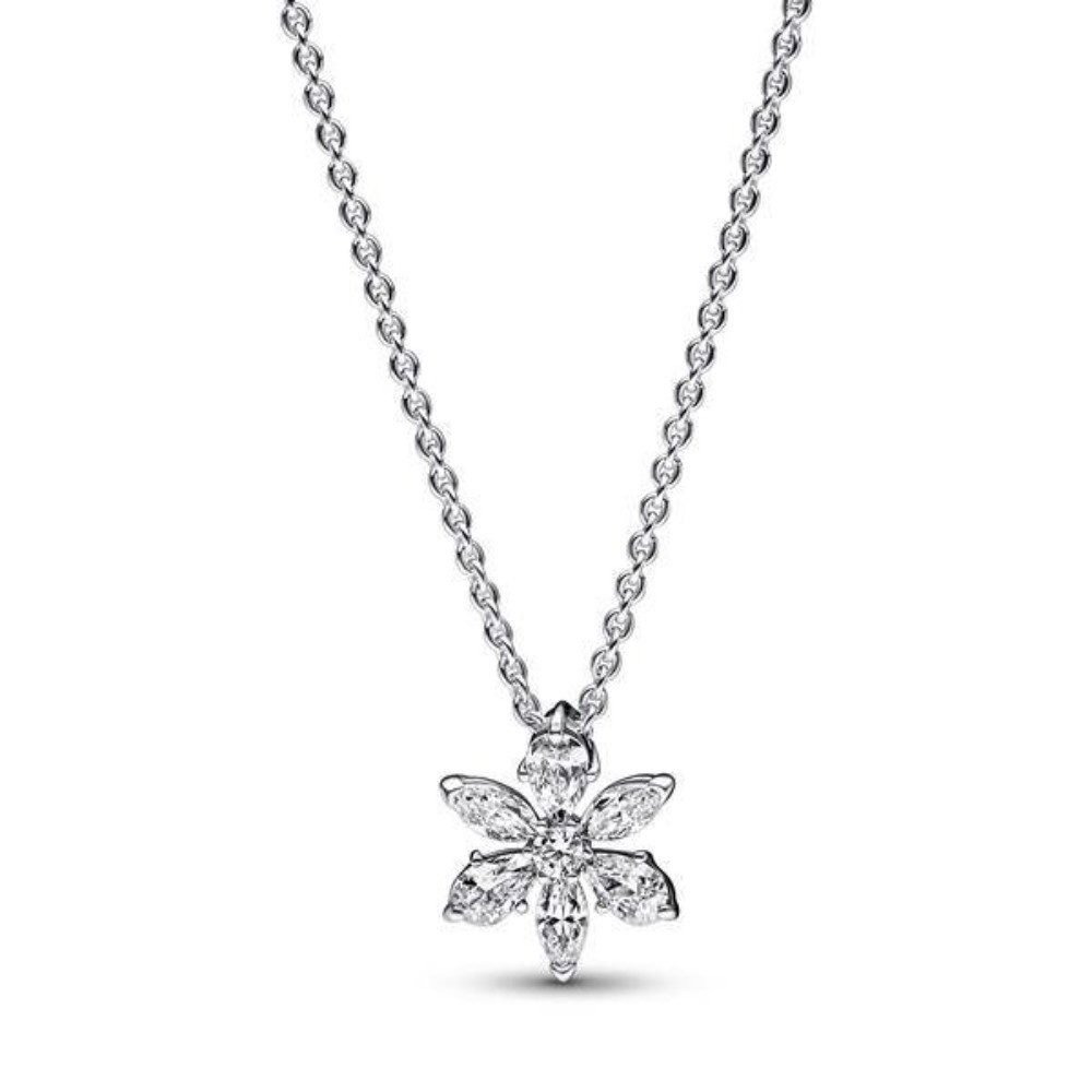 Pandora Kette mit Anhänger 392387C01-45 günstig online kaufen