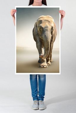 Sinus Art Poster 60x90cm Tierfotografie Poster Hochwertige Aufnahme eines Elefanten