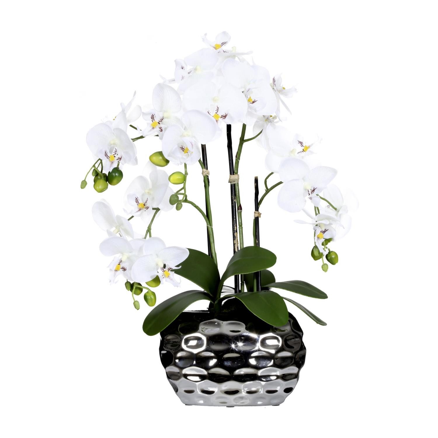 Gasper Dekovase, Im Topf, Weiß, Motiv: Orchidee