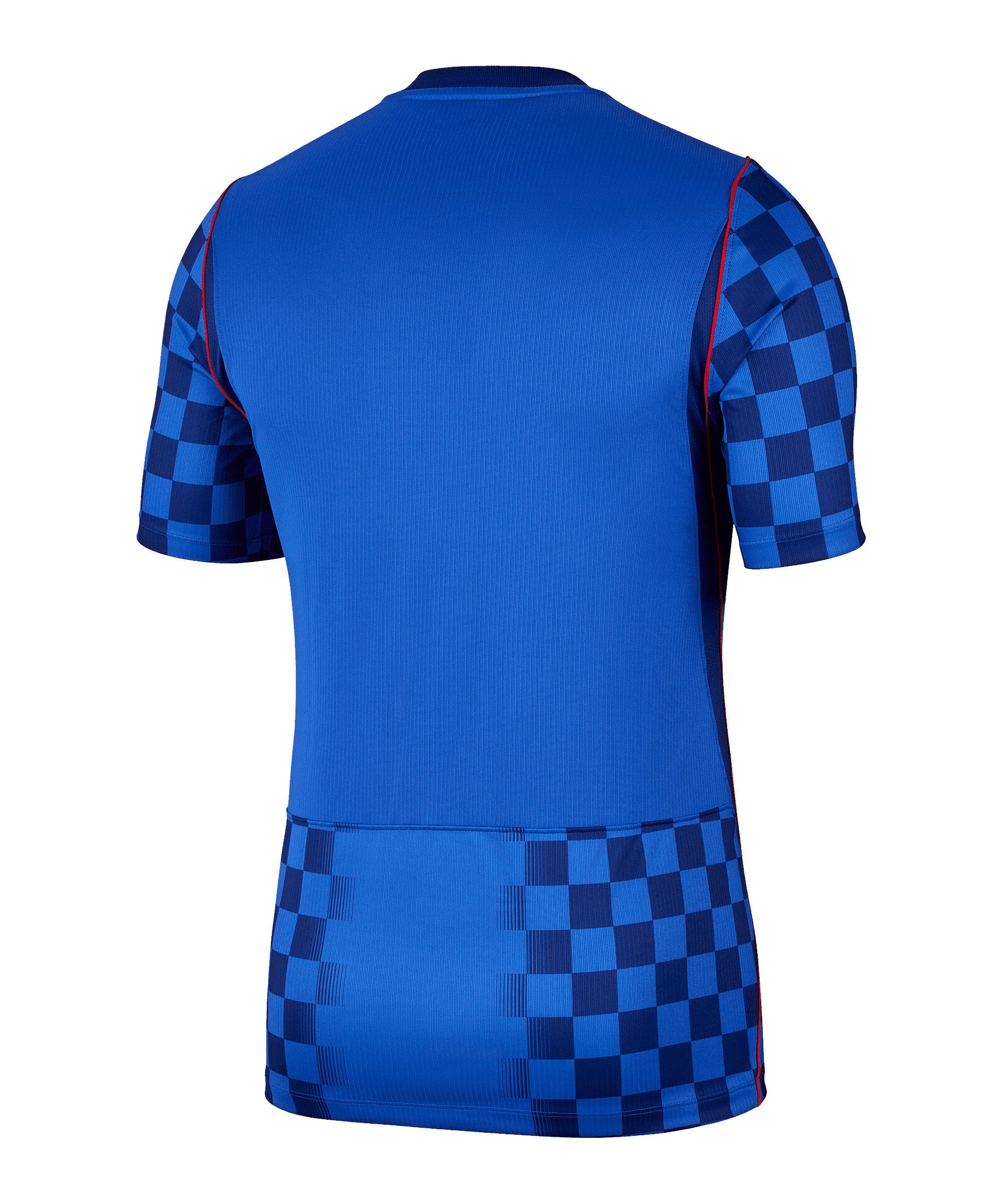 Nike Fußballtrikot Nike Performance Weltmeisterschaft