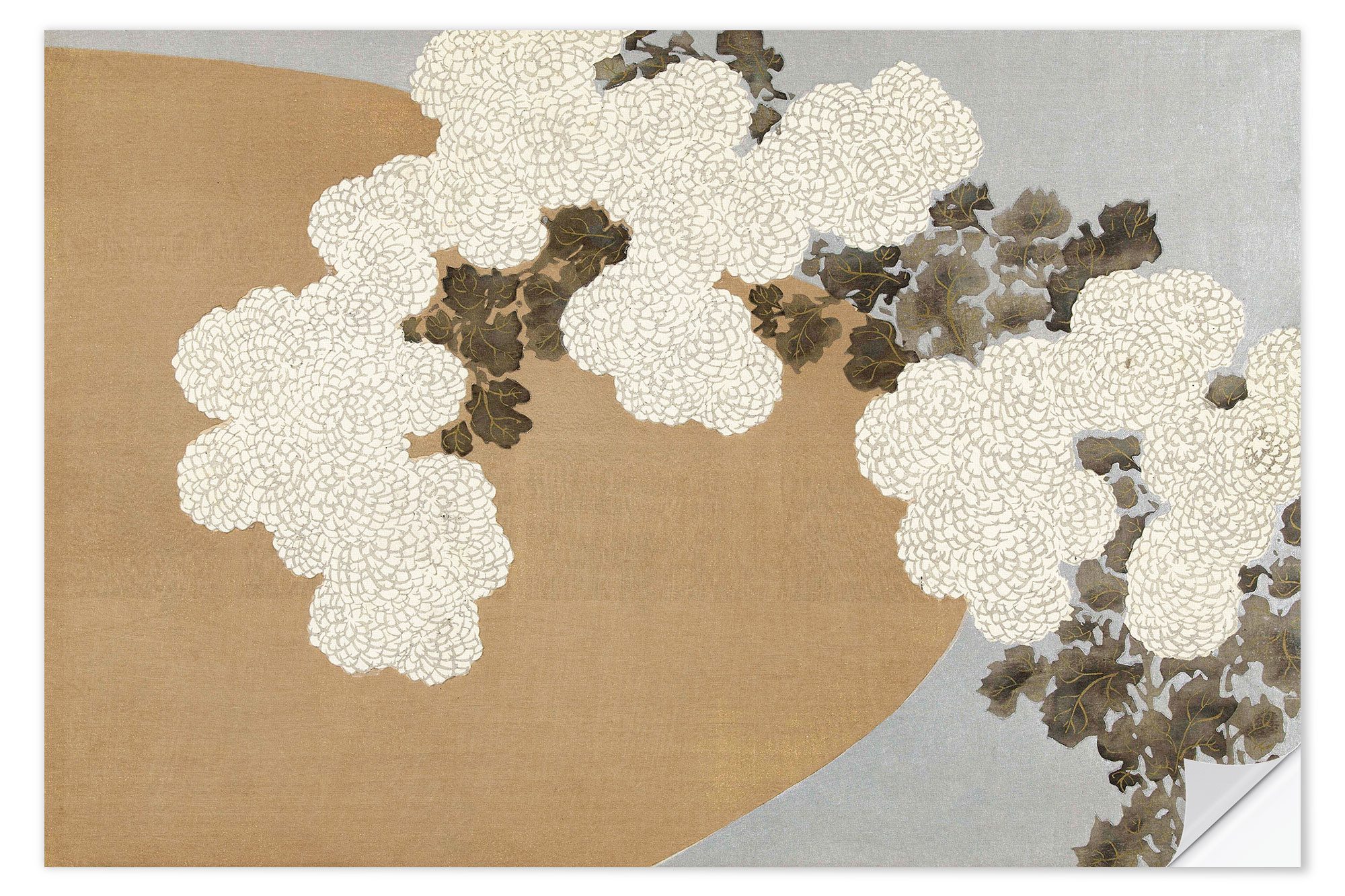 Posterlounge Wandbild Chrysanthemen, Kamisaka Sekka