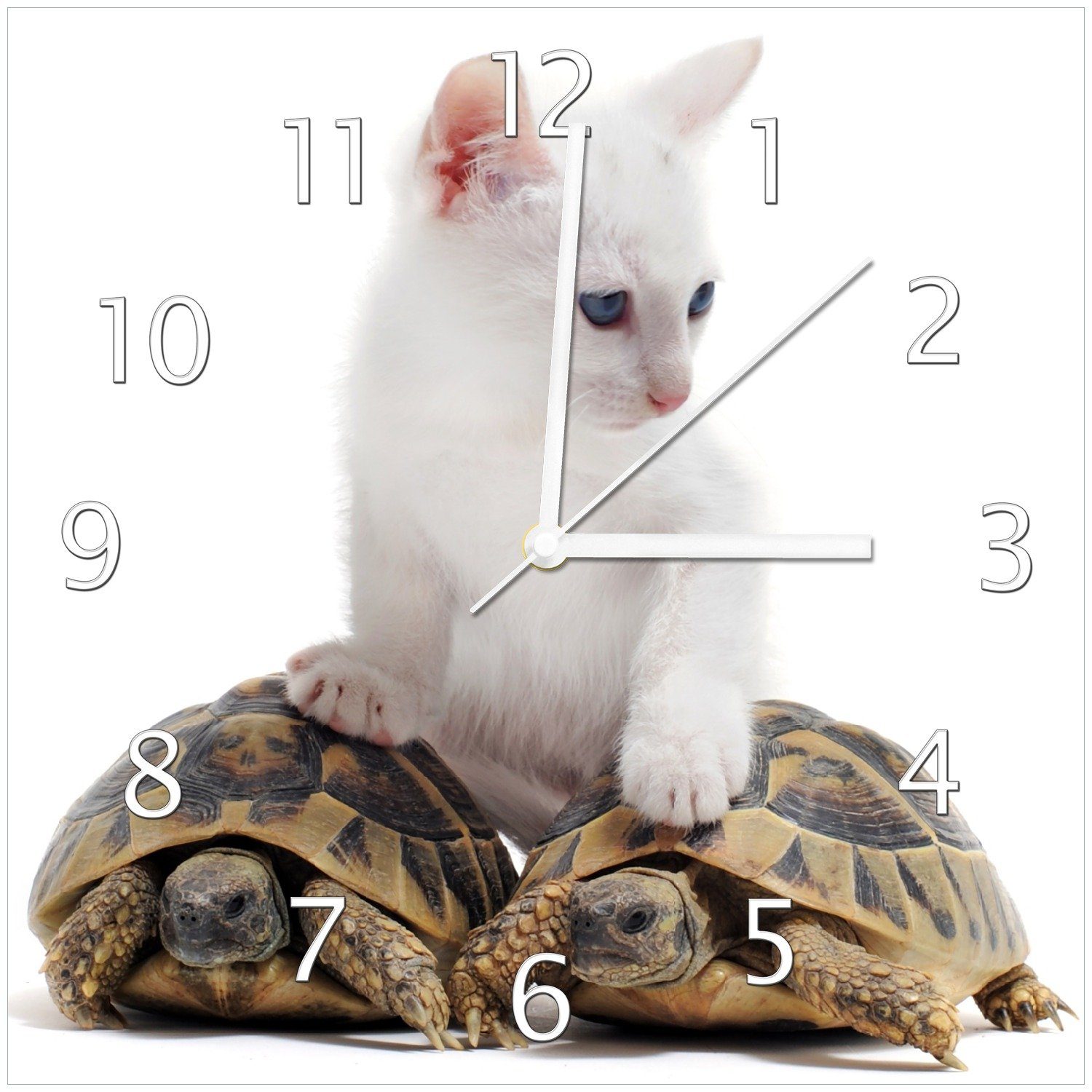 Wallario Wanduhr Katze auf (Glasuhr) Schildkröten