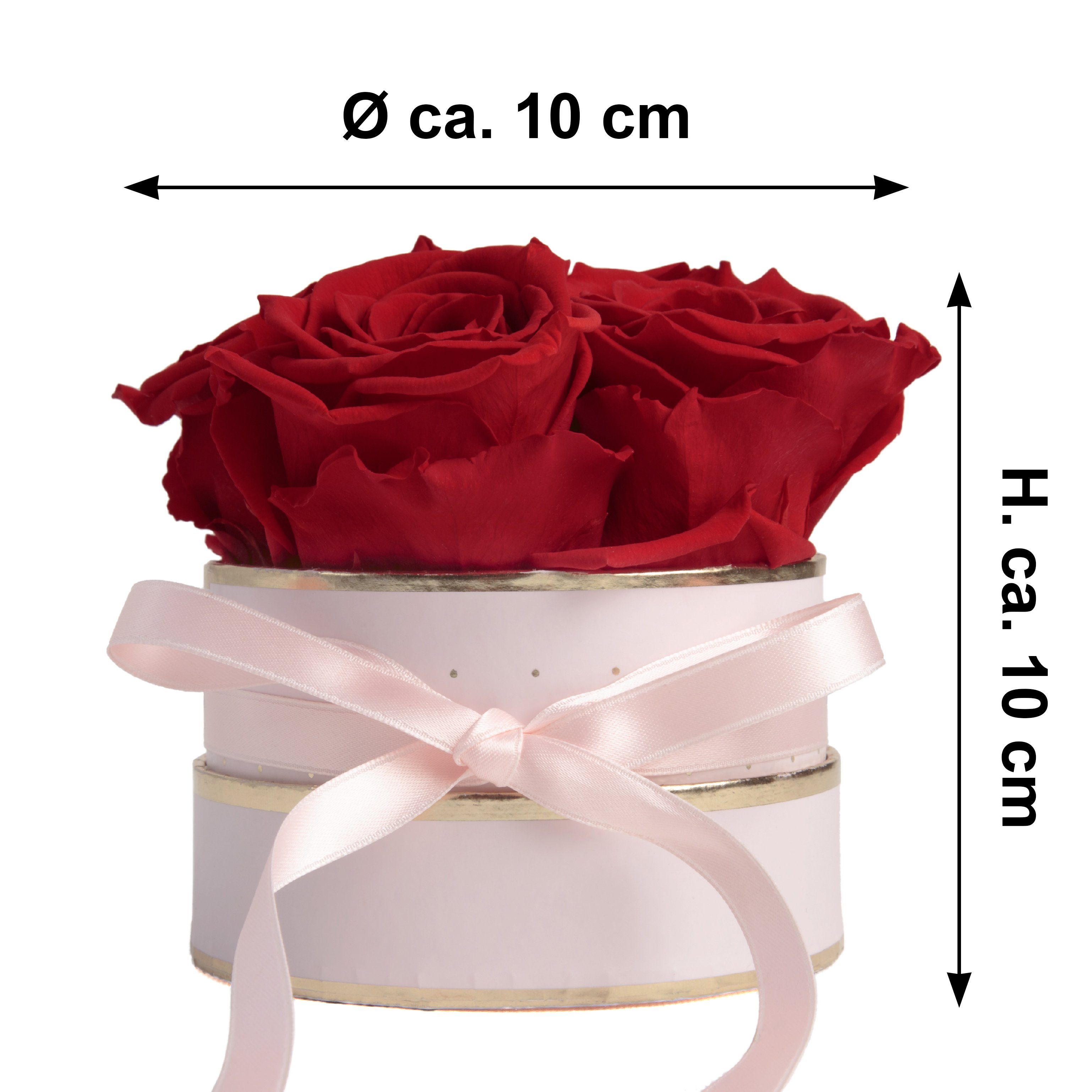 Kunstblume Infinity Rosenbox cm, Heidelberg, echte 4 Höhe konservierte 10 rosa ROSEMARIE Geschenk Rosen Rosen rund konservierte SCHULZ für Rot Rose, Frauen