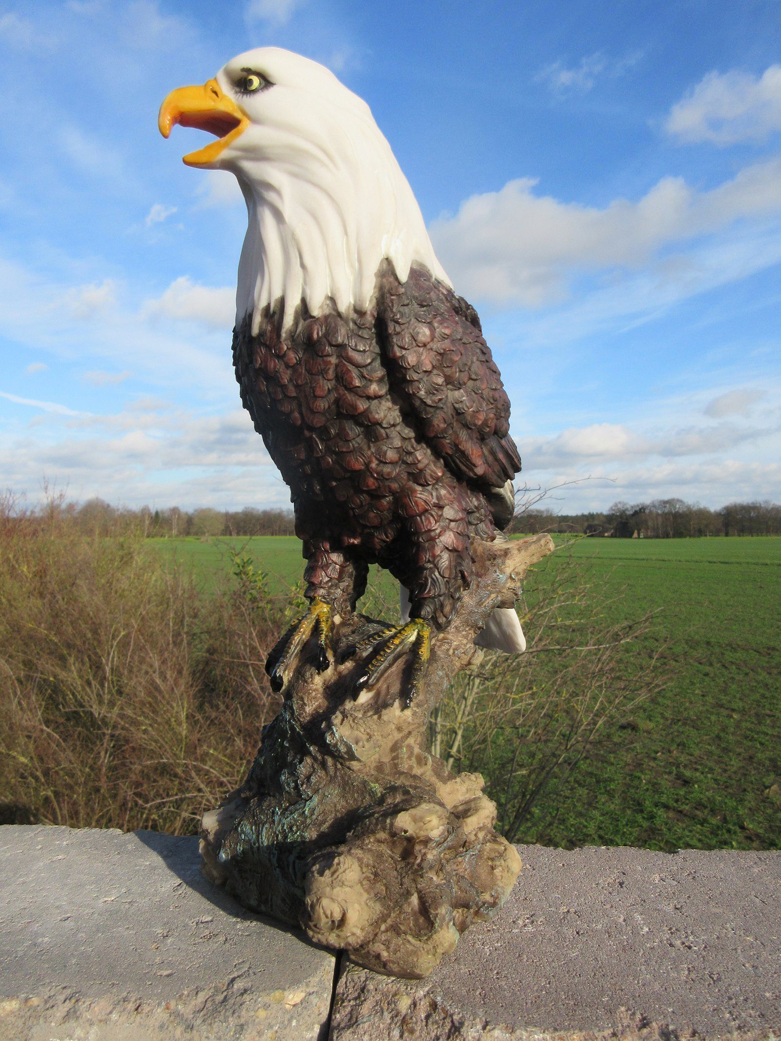 Fachhandel Plus Gartenfigur St), (1 Adler Fels, Tierfigur auf Weißkopfseeadler wetterbeständige