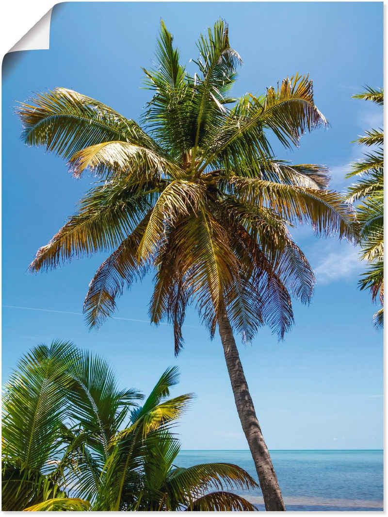 Artland Wandbild »Florida Keys Palme & Ozean«, Bäume (1 St), in vielen Größen & Produktarten -Leinwandbild, Poster, Wandaufkleber / Wandtattoo auch für Badezimmer geeignet