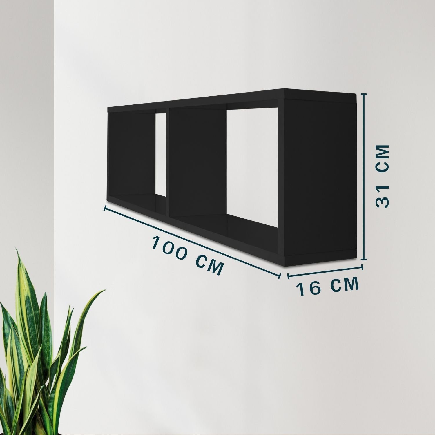 TRAUMMÖBEL Regal, Hängeregal 100x16x31 cm Fächern farblich mit kombinierbar Schwarz 2