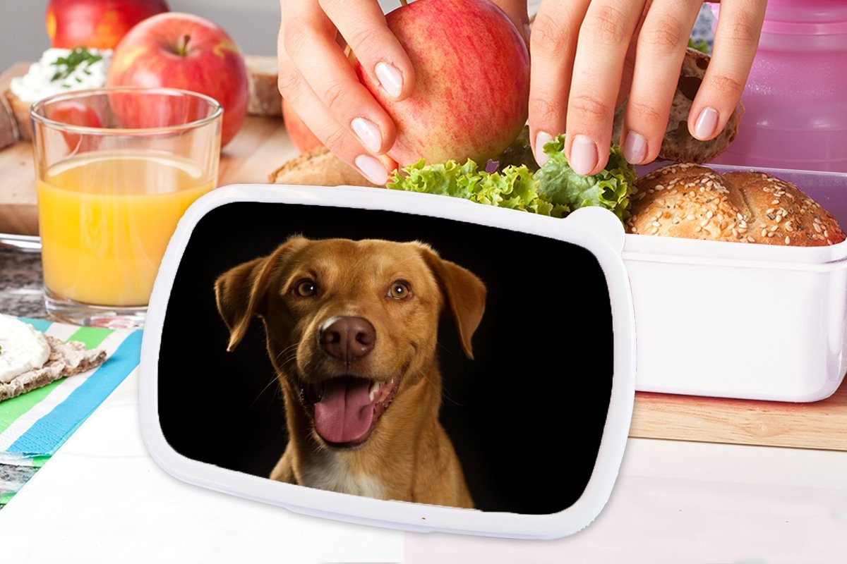 Mädchen Brotdose, Jungs (2-tlg), für Erwachsene, Lunchbox Porträt, - und - MuchoWow Kunststoff, Brotbox weiß für Hund Kinder Haustiere und