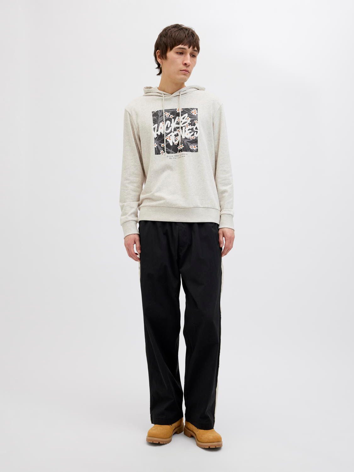 Jack & Jones Kapuzenpullover Jack & Jones Herren JjHawaii Shape Sweat Hood günstig online kaufen