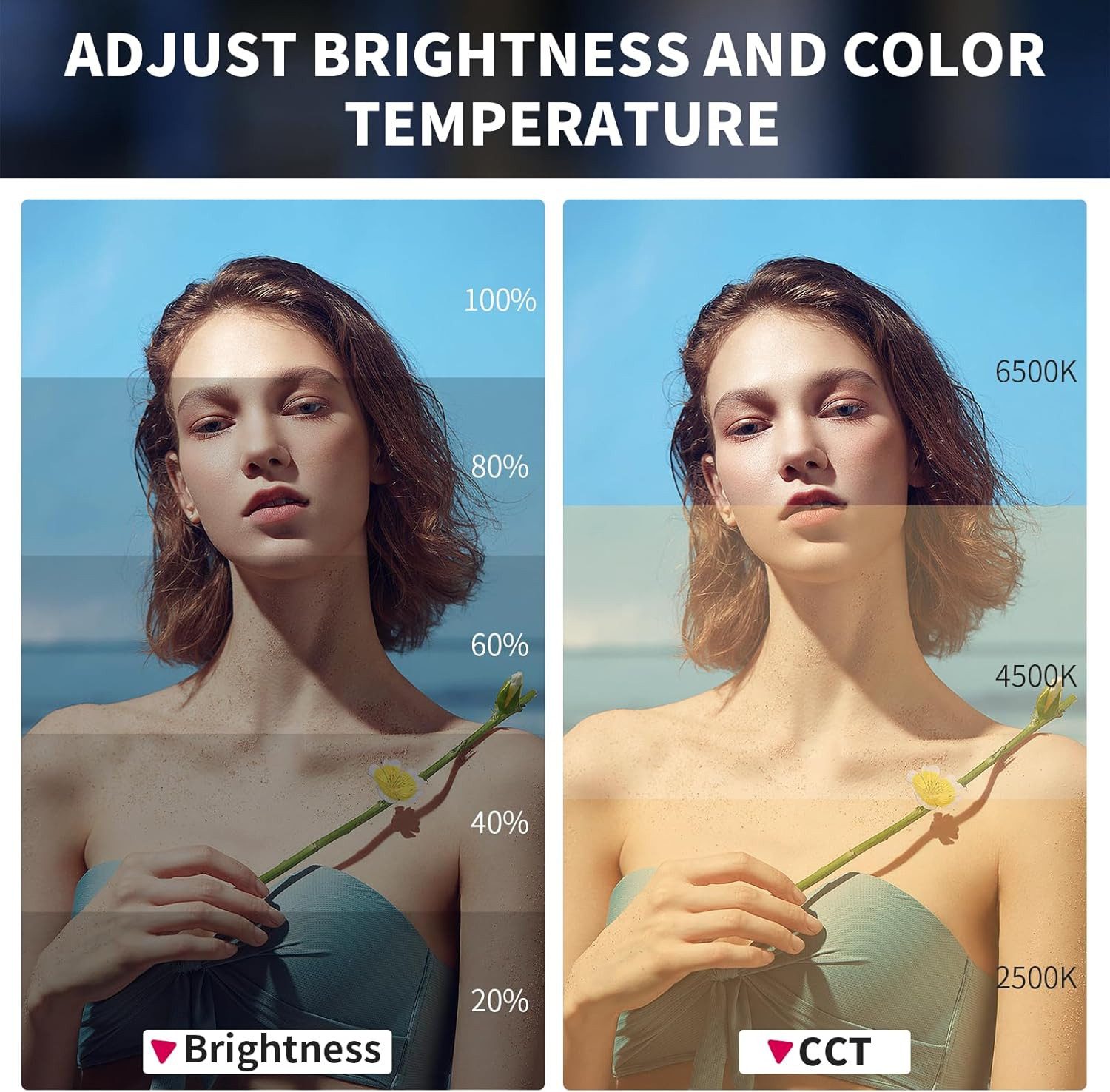 ULANZI LED Studiobeleuchtung Ulanzi LT028 40W PRO Bi-Color LED Videolicht mit Akku COB 2500–6500 K