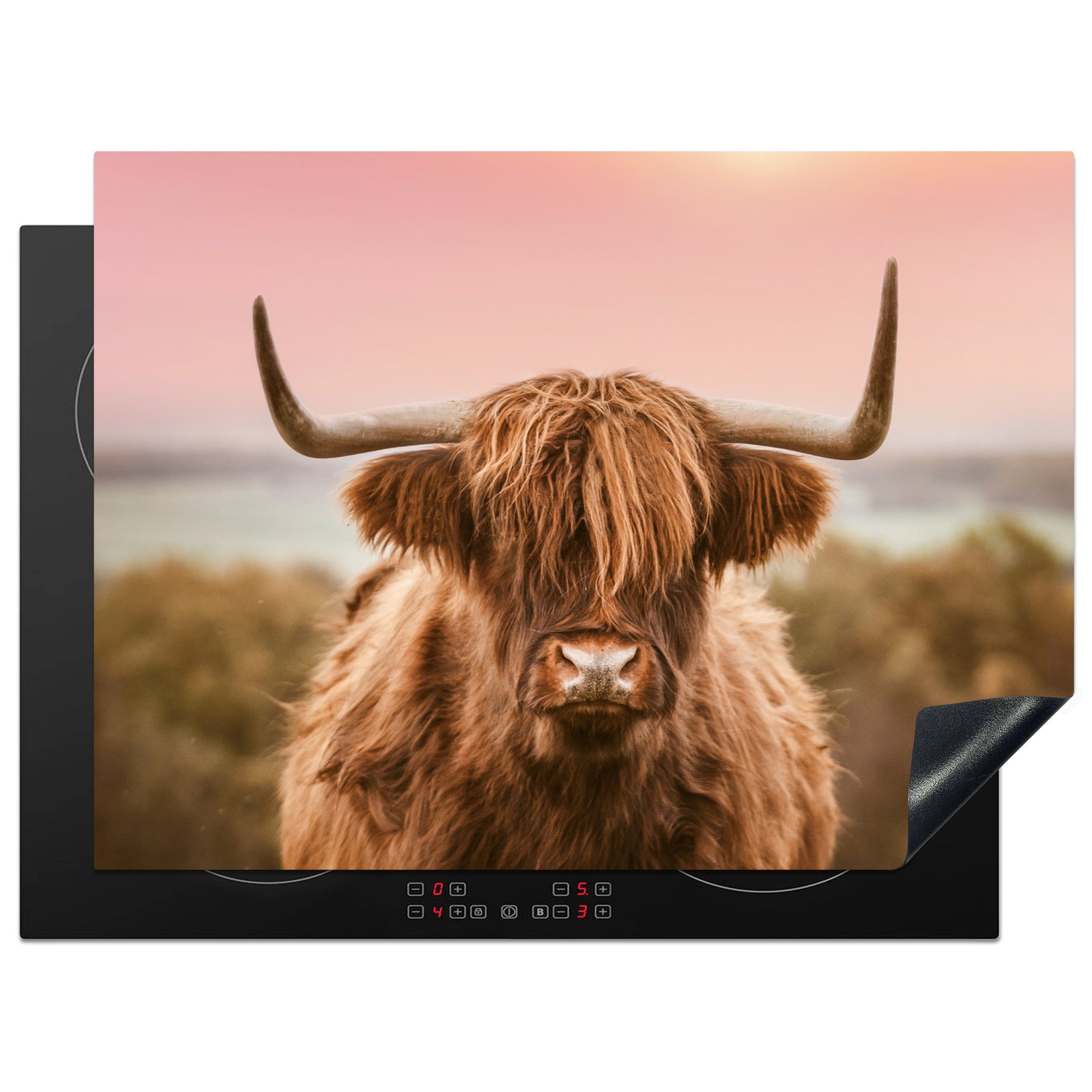 MuchoWow Herdblende-/Abdeckplatte Schottischer Highlander - Kuh - Horizont, Vinyl, (1 tlg), 71x52 cm, Induktionskochfeld Schutz für die küche, Ceranfeldabdeckung