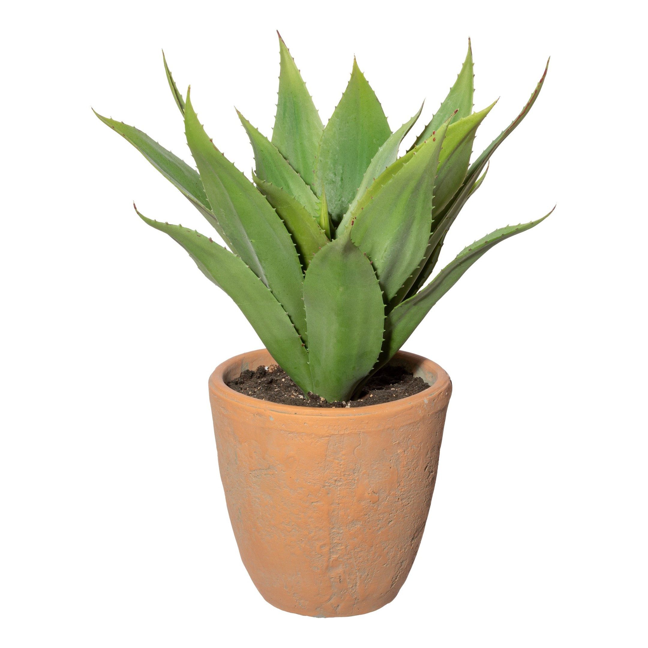 Kunstpflanze Agave grün,ca 40cm,im Terracottatopf natur 17,5x17,5cm, mit Erde