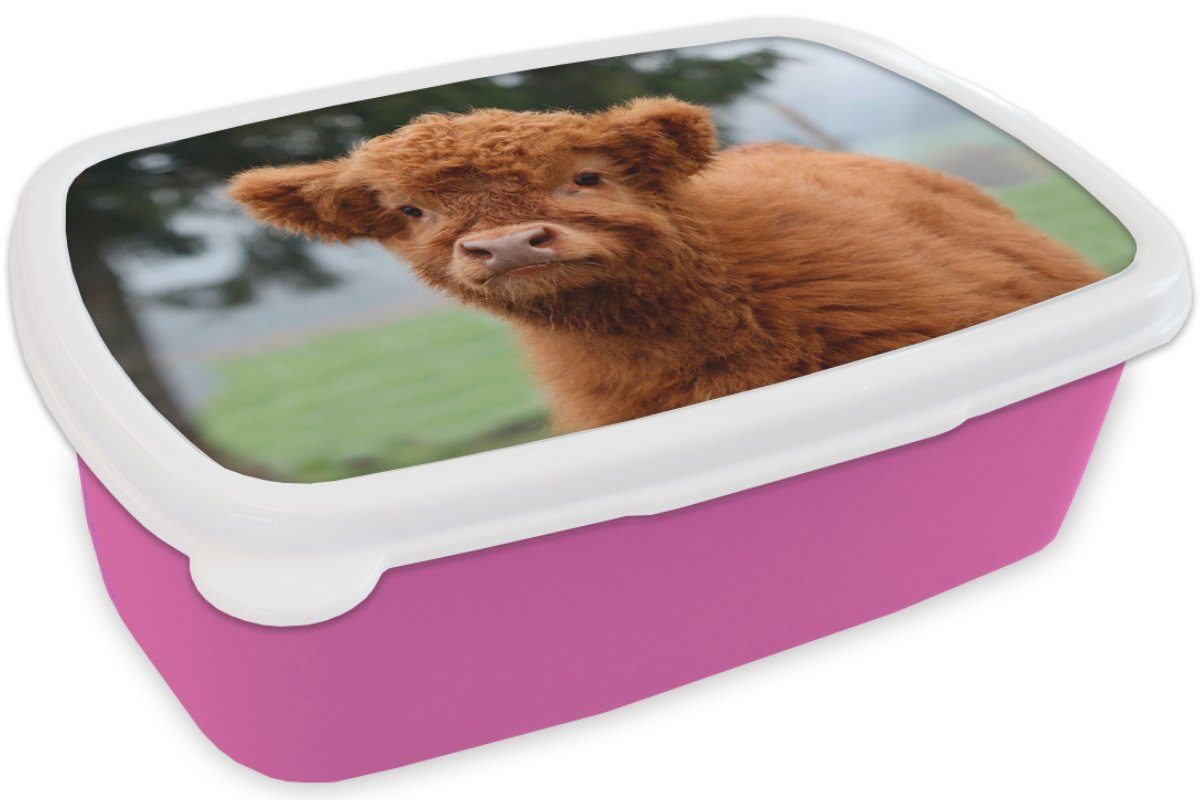 MuchoWow Lunchbox Scottish (2-tlg), Kalb Kunststoff für Highlander Brotbox Snackbox, rosa Kinder, - - Gras, Kunststoff, Brotdose Mädchen, Erwachsene