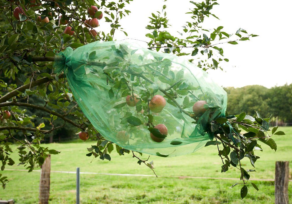 Schädlingsschutznetz 1 Frucht-Schutzschlauch mit beidseitigem Verschluß - Organza -