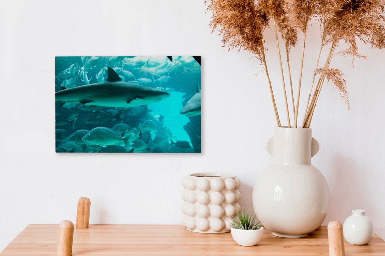 OneMillionCanvasses® Leinwandbild Großer Hai Wandbild St), in Aquarium, einem (1 Wanddeko, Aufhängefertig, Leinwandbilder, 30x20 cm