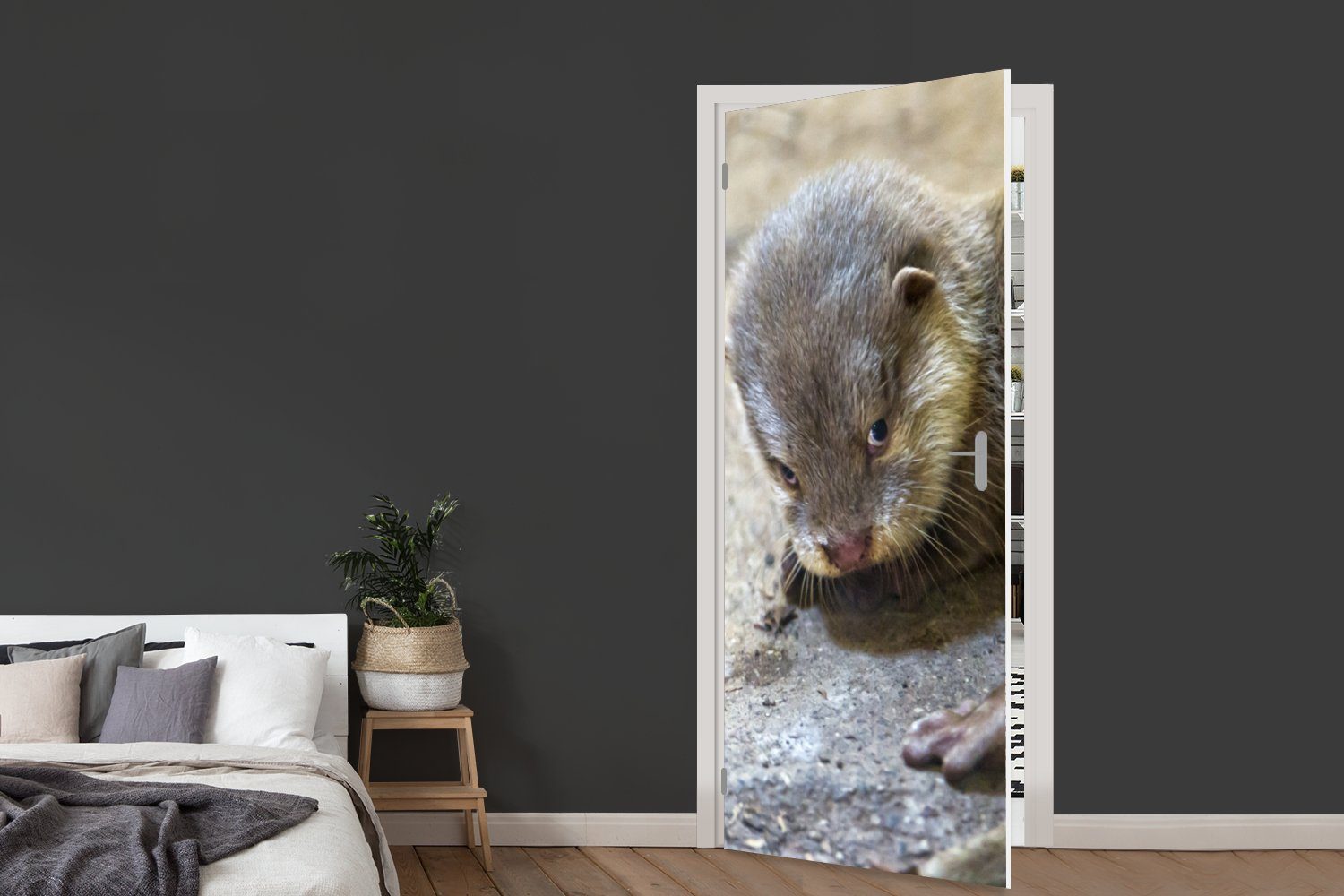 Junger Otter, für Türtapete bedruckt, Türaufkleber, (1 75x205 cm Tür, Fototapete St), Matt, MuchoWow