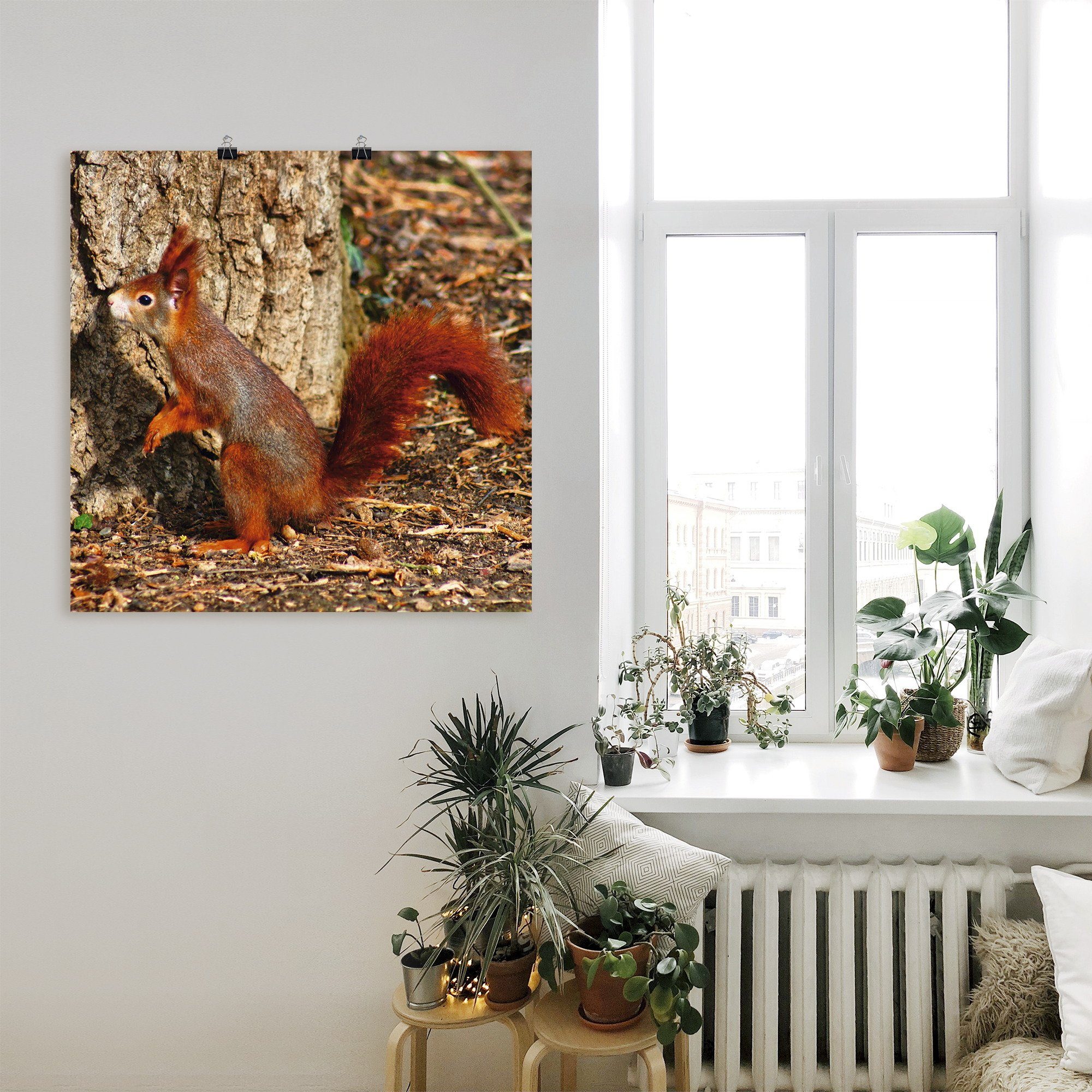 Alubild, versch. Größen hoch Wandaufkleber (1 in als St), Wandbild Leinwandbild, Wildtiere Poster oder Eichhörnchen will Rotes hinaus, Artland