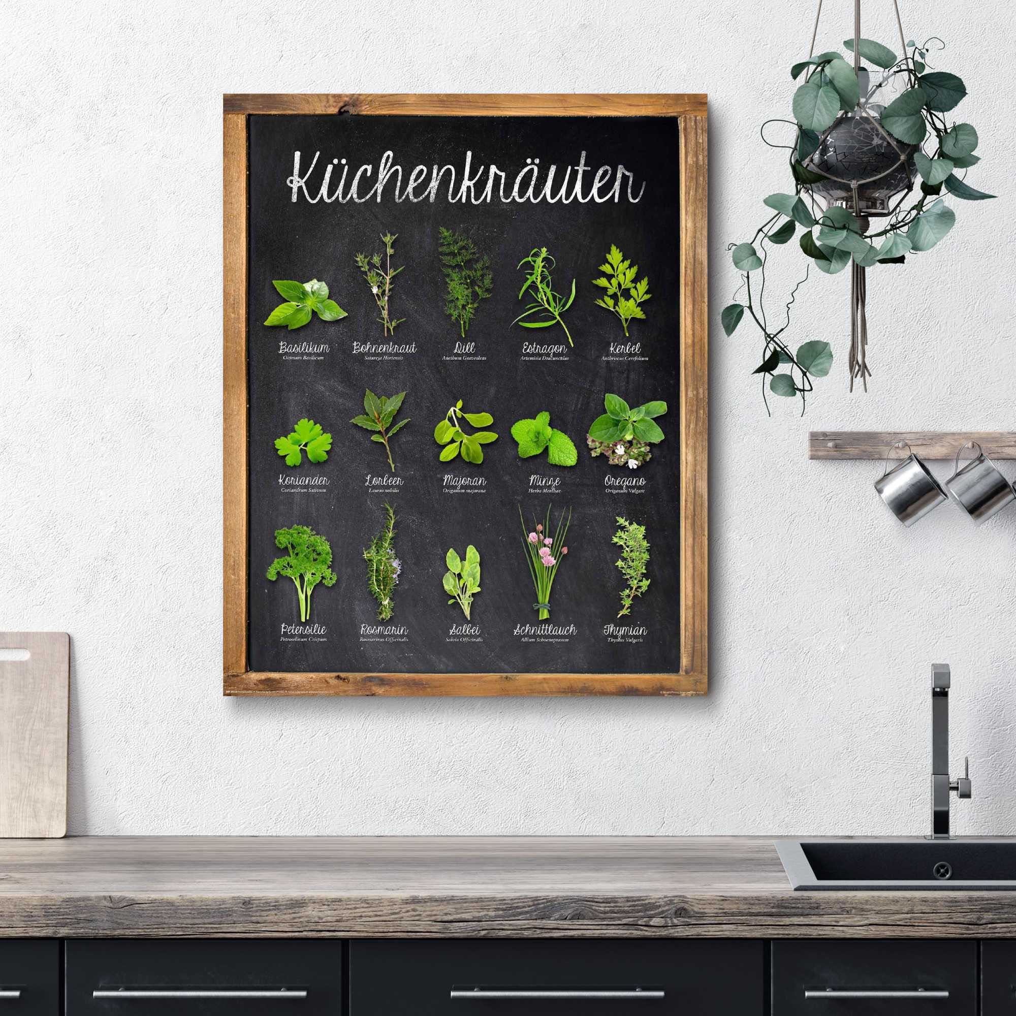 Home affaire Deco-Panel Küchenkräuter, 40/50 cm günstig online kaufen