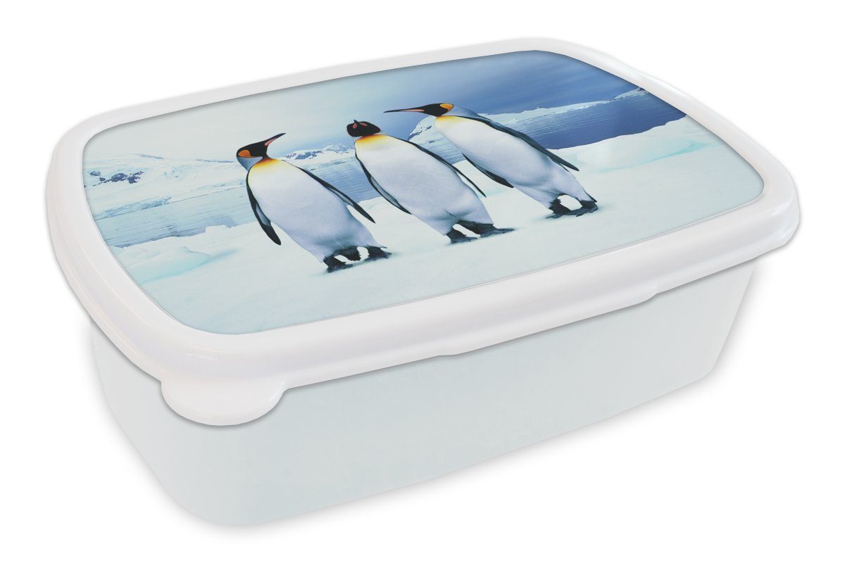 MuchoWow Lunchbox Drei Pinguine Porträt, Kunststoff, (2-tlg), Brotbox für Kinder und Erwachsene, Brotdose, für Jungs und Mädchen weiß