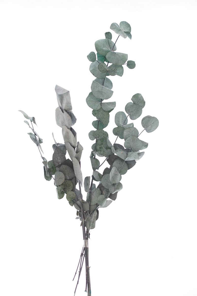 Kunstpflanze Eukalyptus, VBS, 30 cm - 65 cm lang