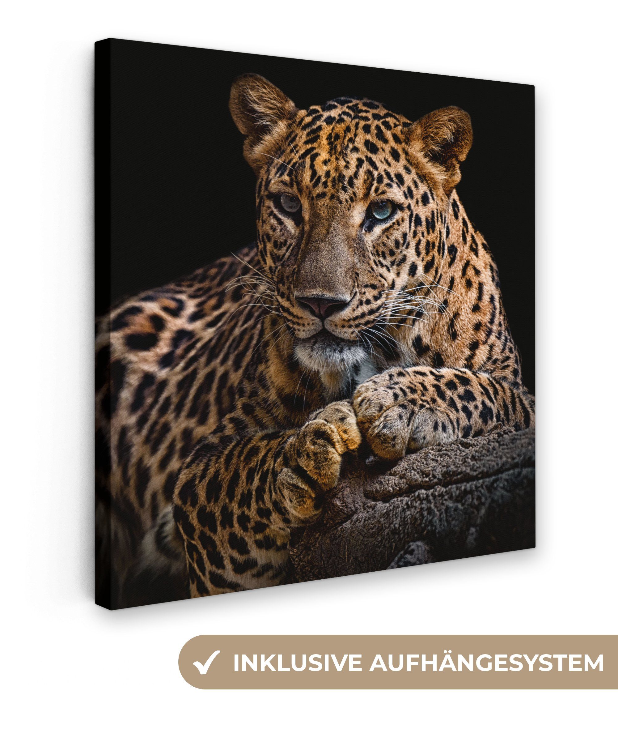 Leinwandbild Wildtiere - Panther - Porträt - Schwarz - Tiere