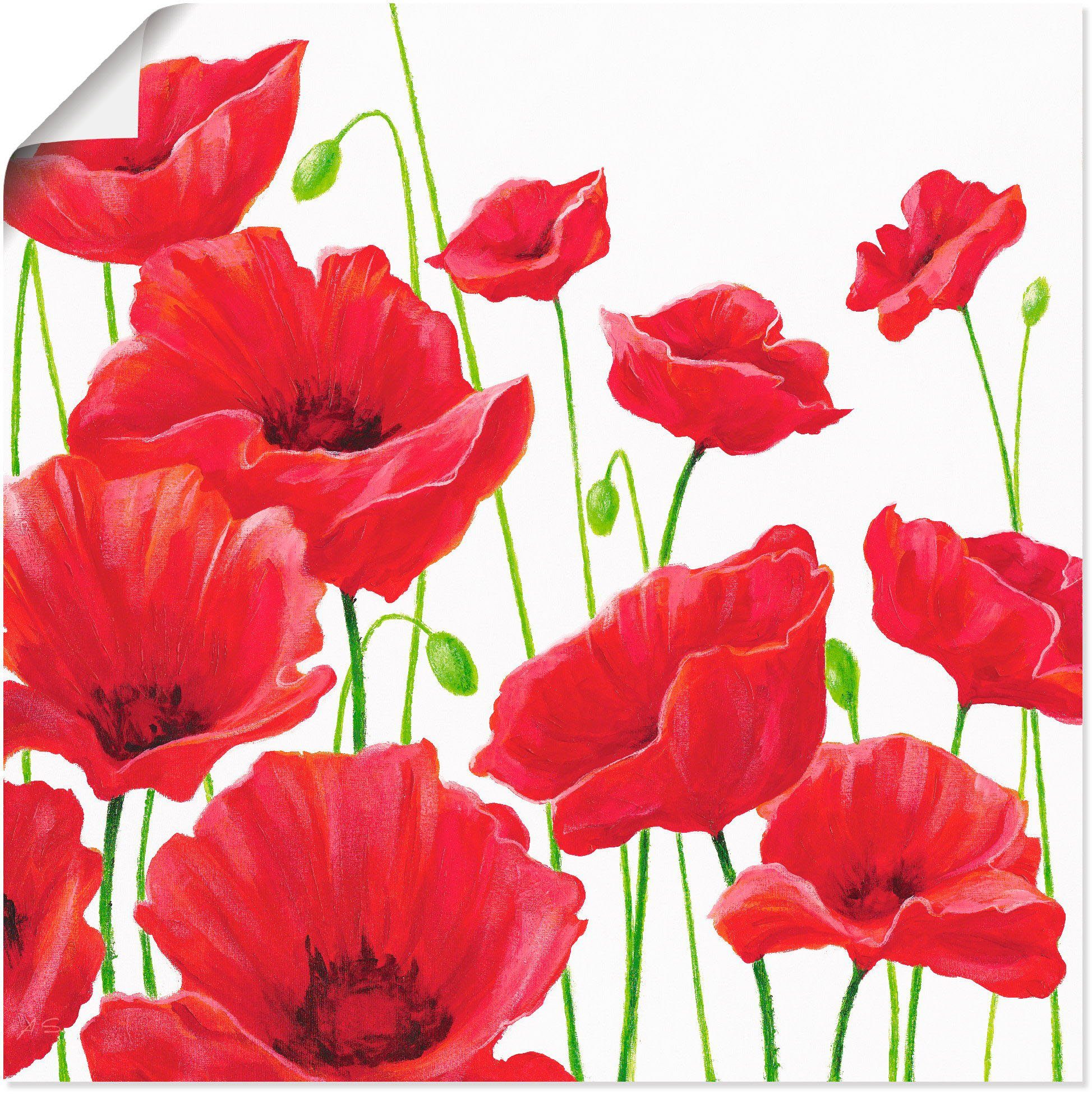 Artland Wandbild Rote Mohnblumen I, Größen Wandaufkleber Alubild, (1 oder versch. Blumen Leinwandbild, Poster St), als in