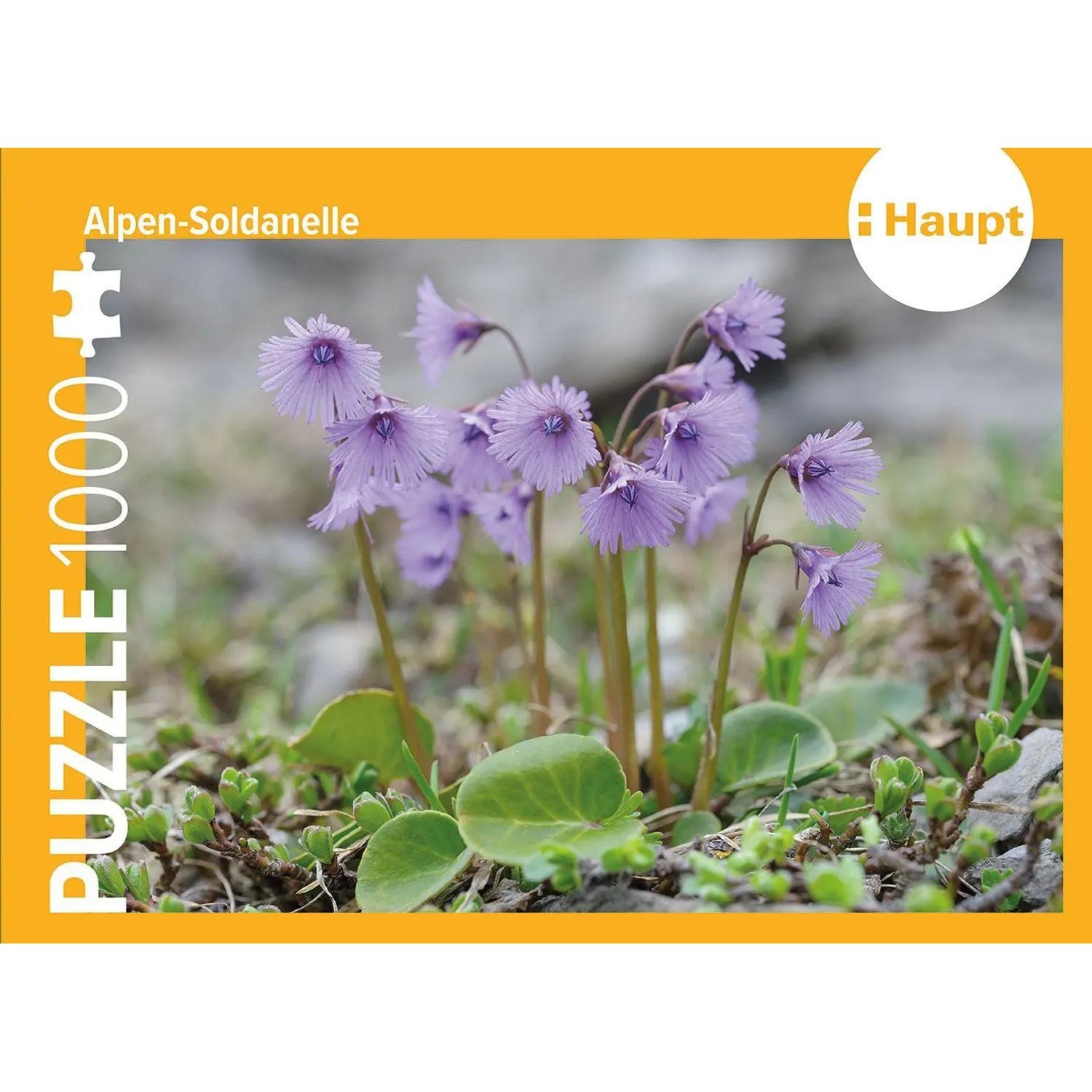 Haupt Puzzle Alpen-Soldanelle - Puzzle. 1000 Teile, 1000 Puzzleteile
