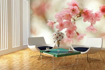 WandbilderXXL Fototapete Blütenzauber, glatt, Kirschblüten, Vliestapete, hochwertiger Digitaldruck, in verschiedenen Größen