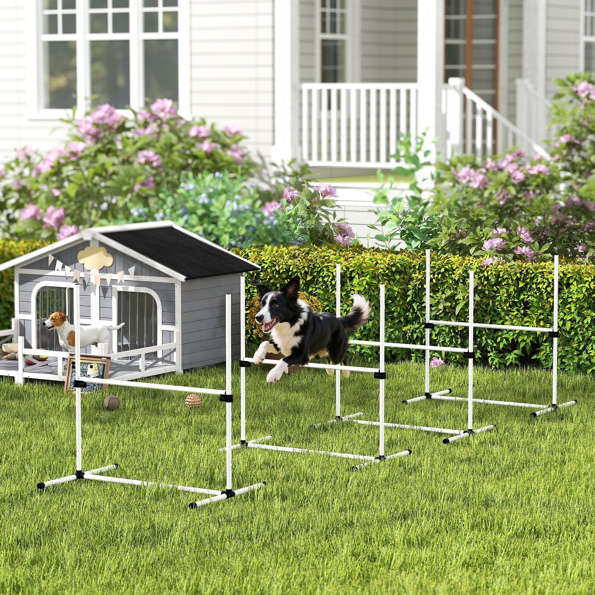 PawHut Agility-Hürde Agility Set höhenverstellbar Sprungstangen-Set mit Tragetasche, Kunststoff, Hunde Hürden-Set (4-tlg) für Hunde, Weiß
