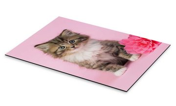 Posterlounge Alu-Dibond-Druck Greg Cuddiford, Katze mit rosa Blume, Fotografie
