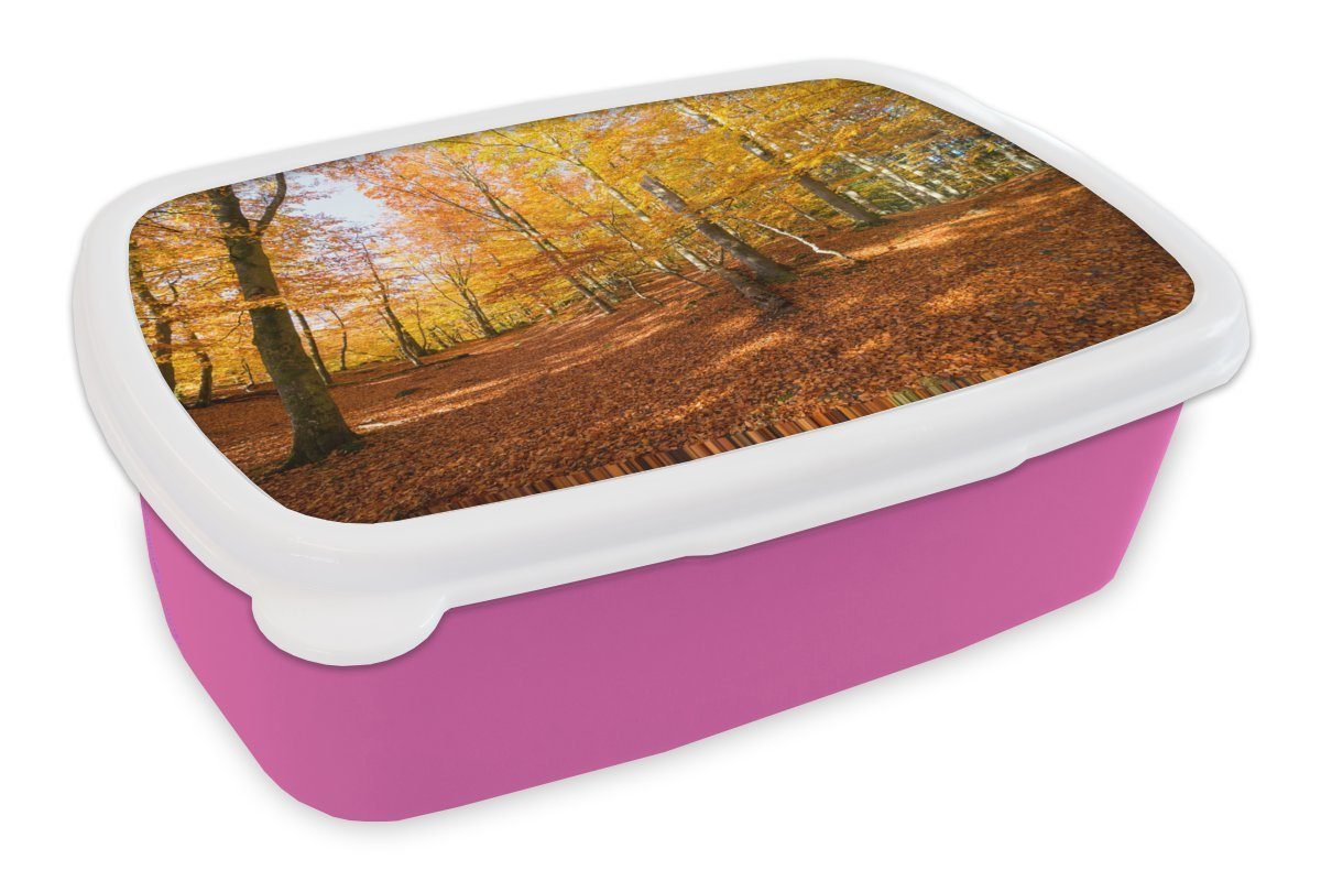 MuchoWow Lunchbox Buchenwald mit Herbstfarben, Kunststoff, (2-tlg), Brotbox für Erwachsene, Brotdose Kinder, Snackbox, Mädchen, Kunststoff rosa
