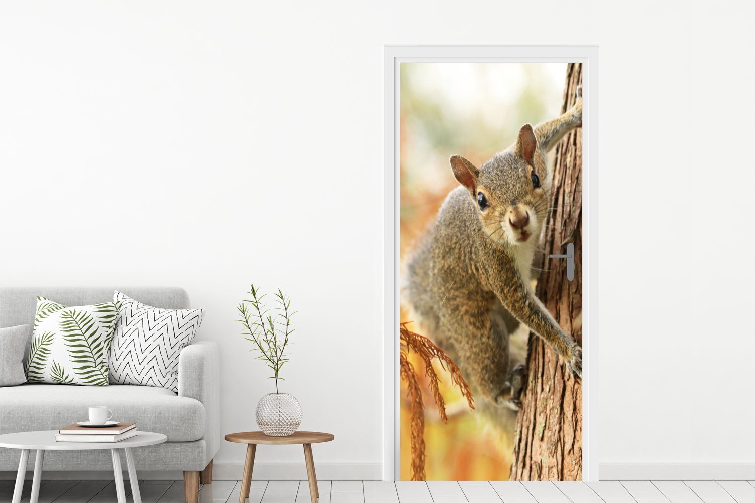 Eichhörnchen Tür, cm Herbst, Matt, - Türtapete St), bedruckt, Fototapete 75x205 Türaufkleber, MuchoWow Baum (1 für -