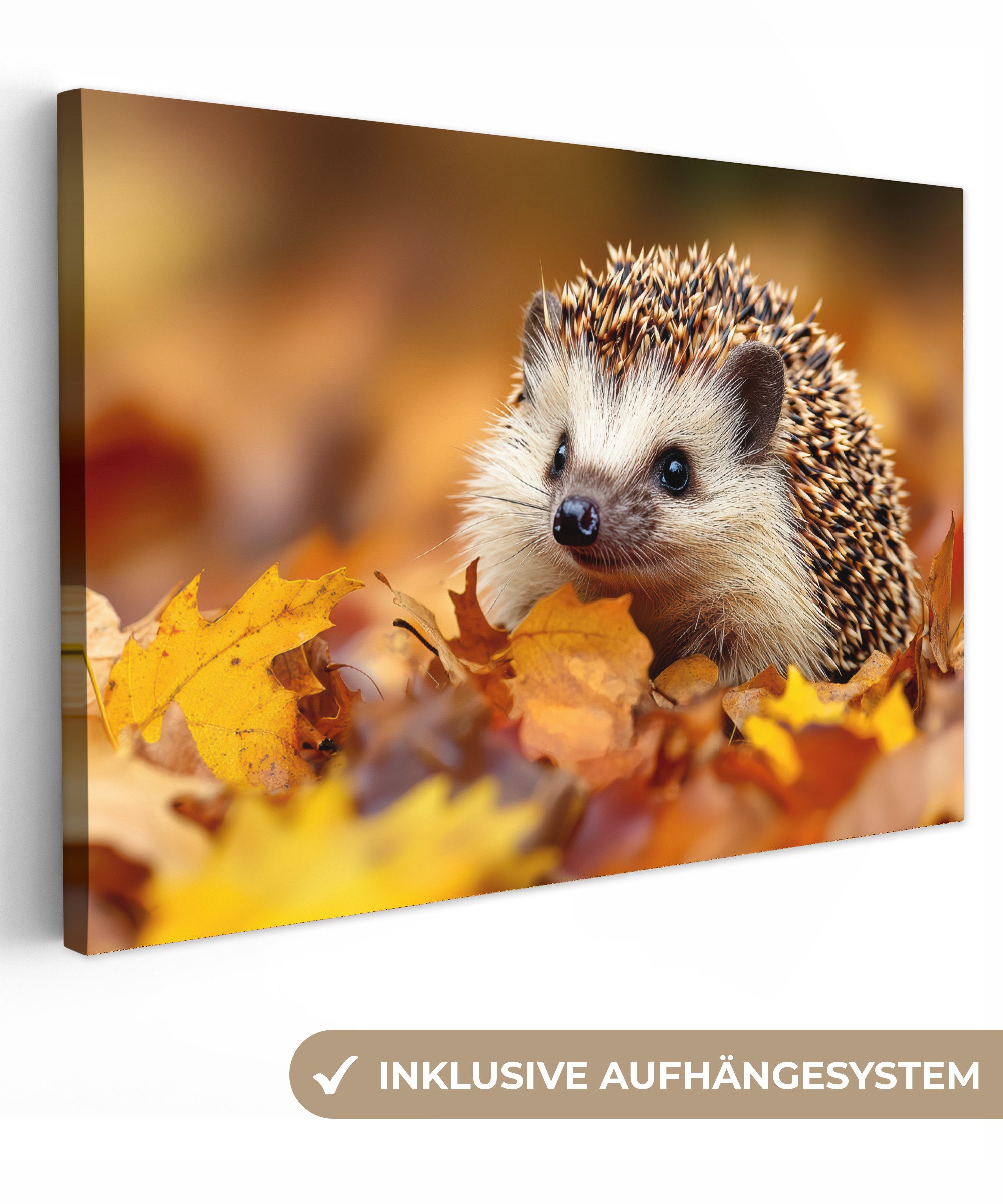 OneMillionCanvasses® Leinwandbild Igel - Wald - Herbstblätter - Herbst - Waldtiere - Natur, Fotodruck (1 St), Leinwand Bilder Klein, Wand Dekoration Aesthetic 30x20 cm