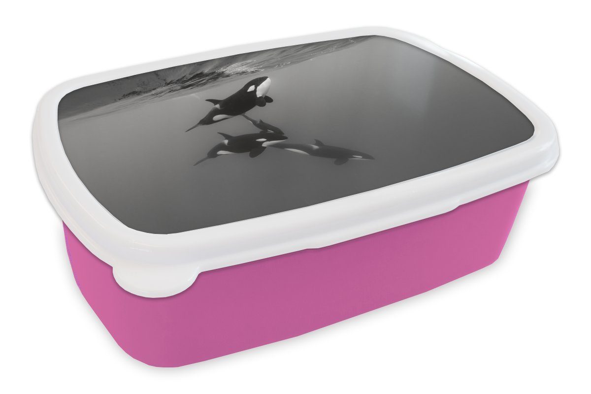 MuchoWow Lunchbox Orca - Wasser - Schwarz - Weiß, Kunststoff, (2-tlg), Brotbox für Erwachsene, Brotdose Kinder, Snackbox, Mädchen, Kunststoff rosa