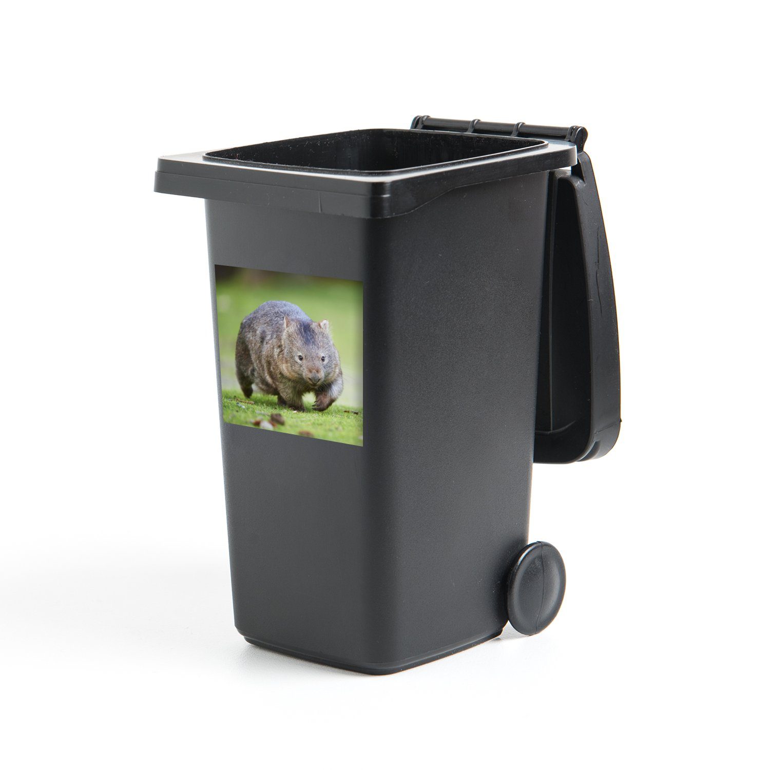 MuchoWow Wandsticker Ein Wombat spielt auf einer Wiese (1 St), Mülleimer-aufkleber, Mülltonne, Sticker, Container, Abfalbehälter