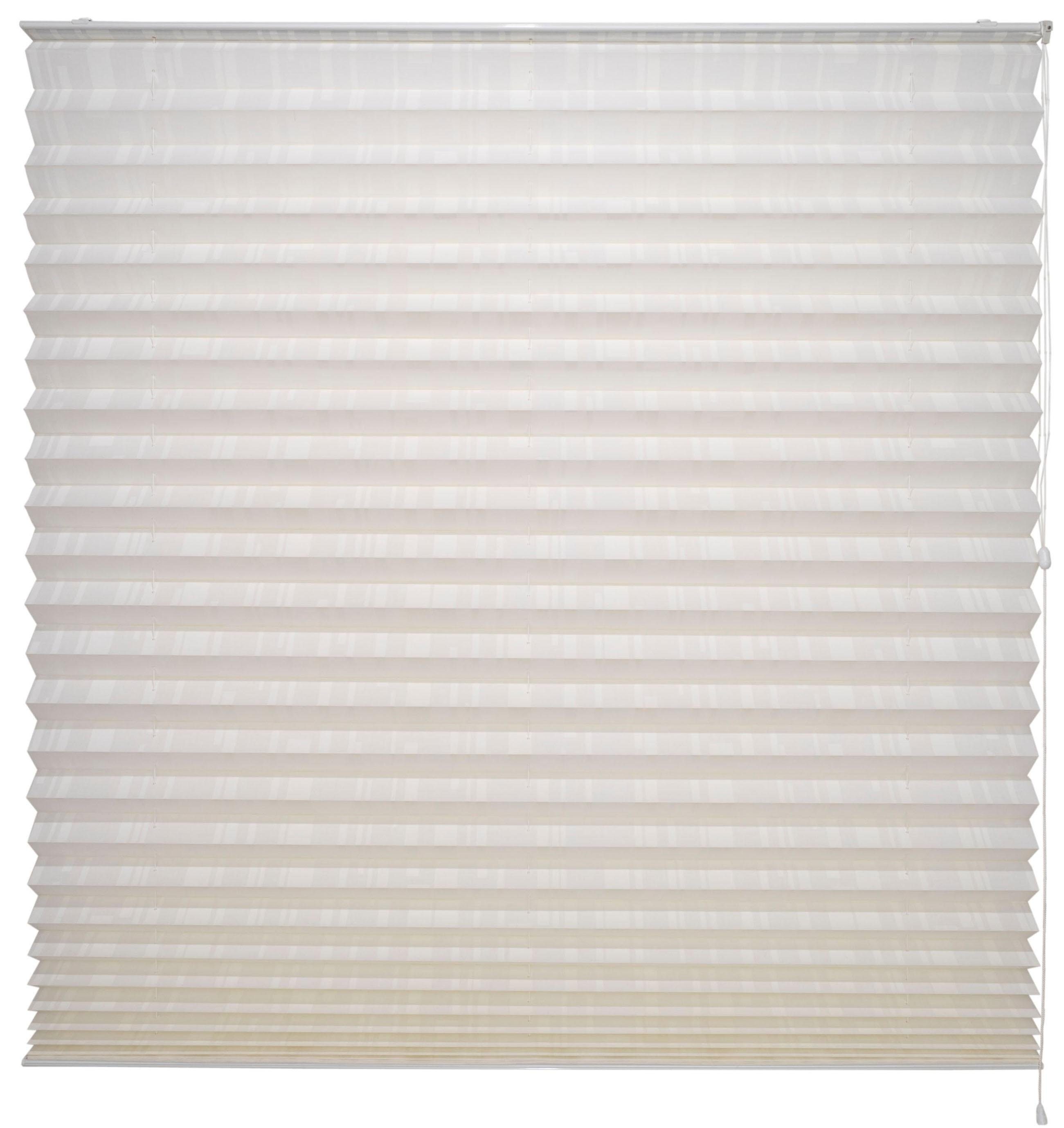 Liedeco Plissee Modernes XXL-Plissee, Lichtschutz, mit Bohren, freihängend, verschraubt, Fixmaß, mit 48 mm Falten