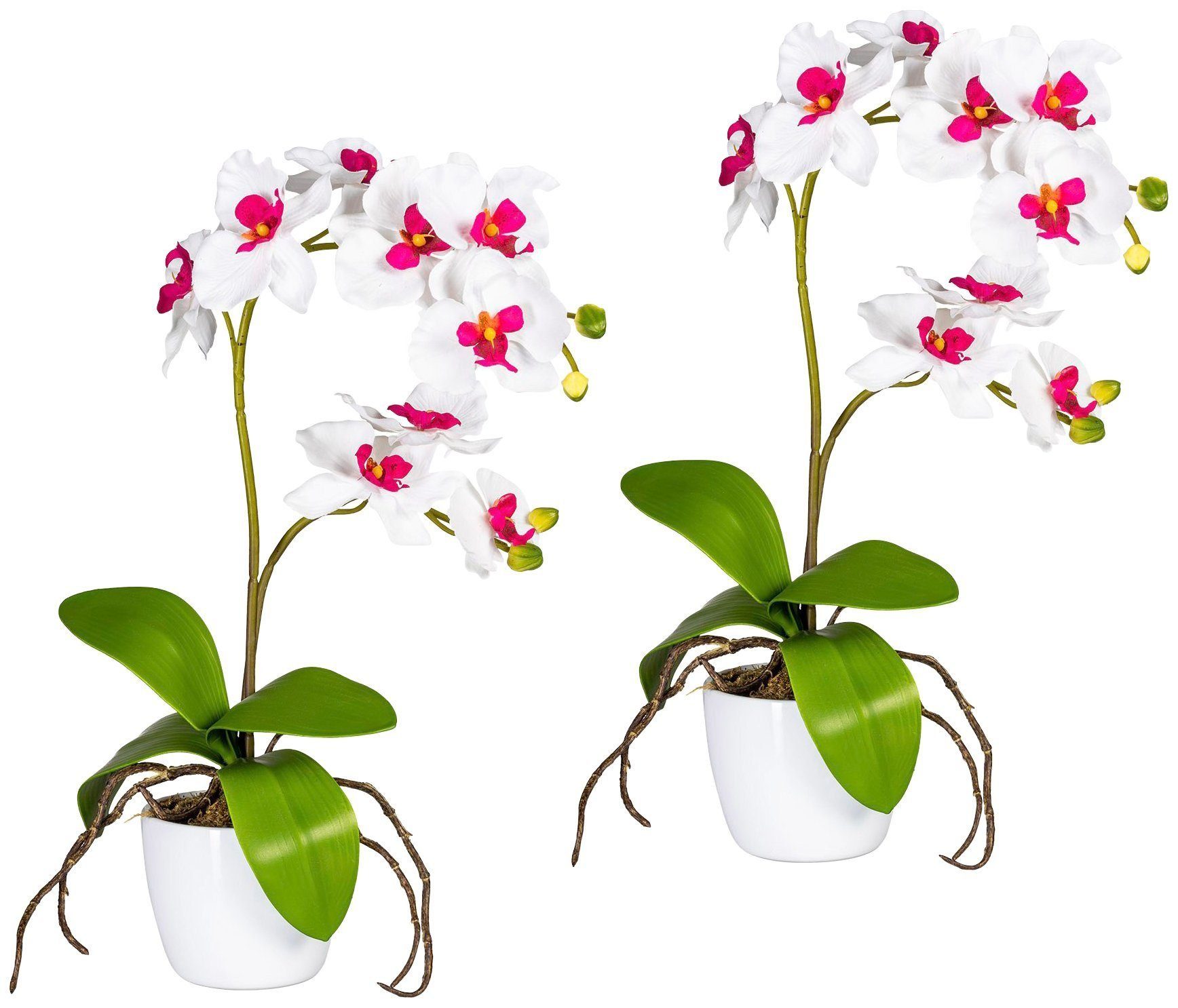 Kunstpflanze Orchidee Phalaenopsis Orchidee, Creativ green, Höhe 60 cm, im Keramiktopf