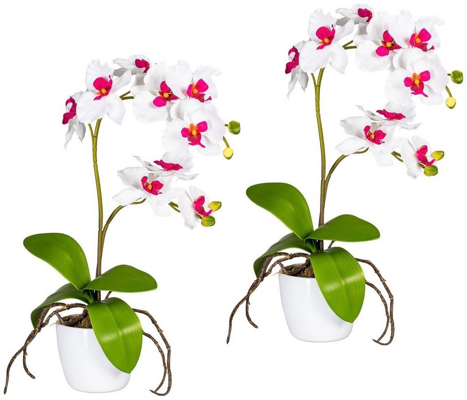 Kunstpflanze Orchidee Phalaenopsis Orchidee, Creativ green, Höhe 60 cm, im  Keramiktopf