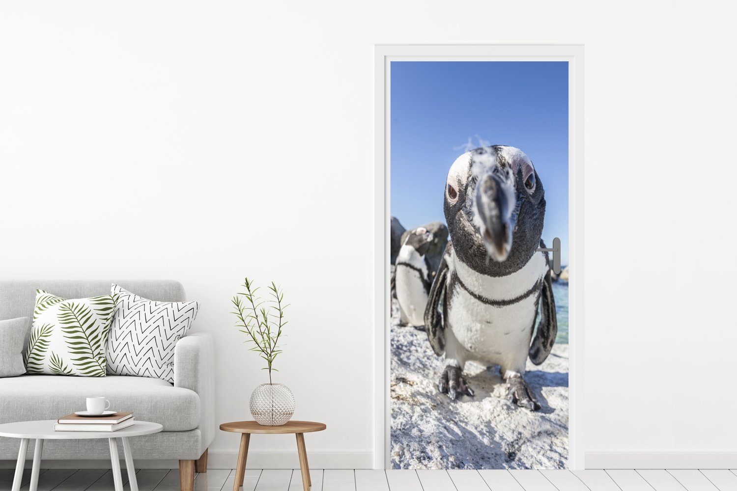 Türtapete 75x205 cm Pinguins Matt, eines Tür, Beach, Boulders afrikanischen Nahaufnahme (1 MuchoWow am bedruckt, für St), Fototapete Türaufkleber,