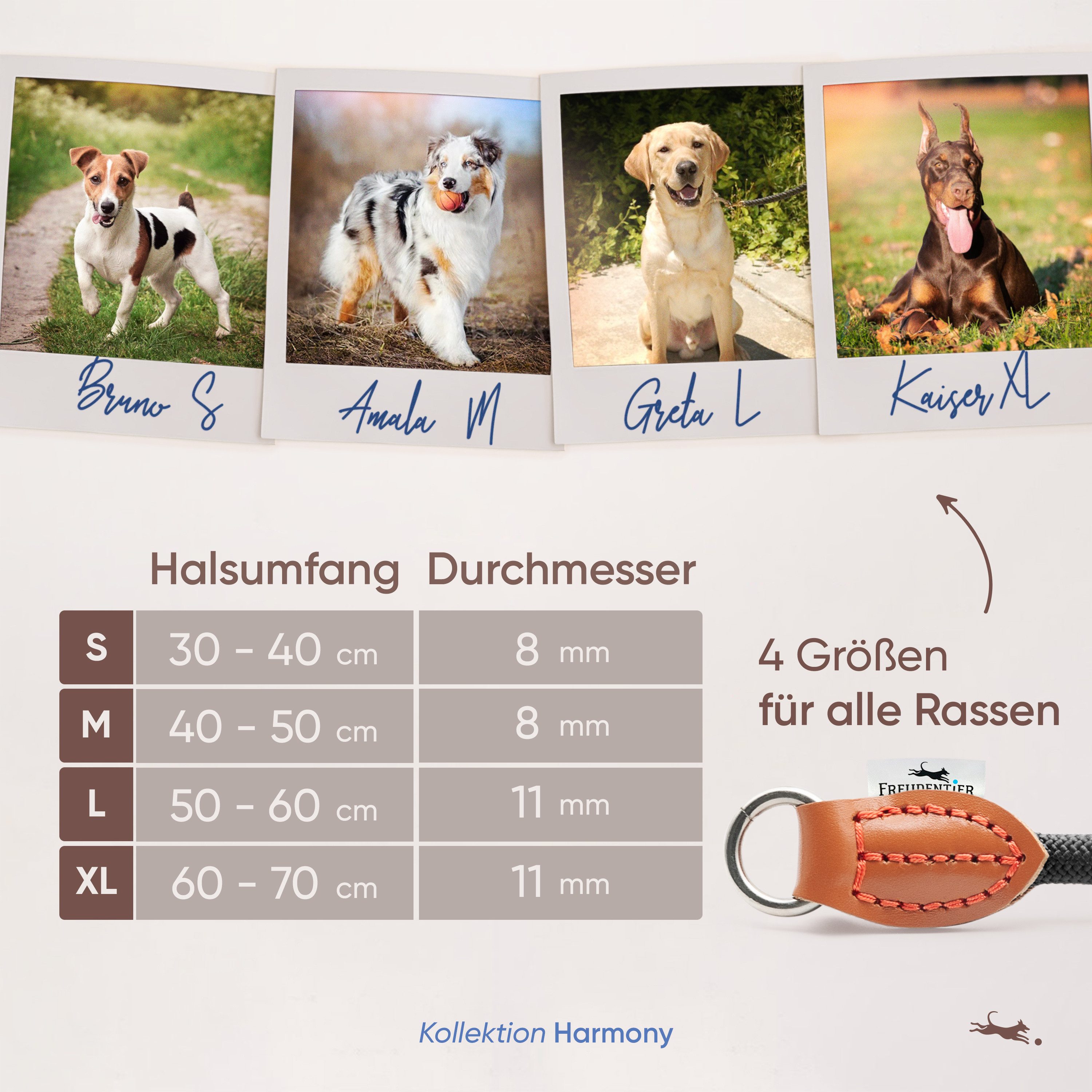 Freudentier Hunde-Halsband mit Zugstopp - Retriever Halsband, 4 verschiedene Größen für kleine, mittelgroße & große Hunde