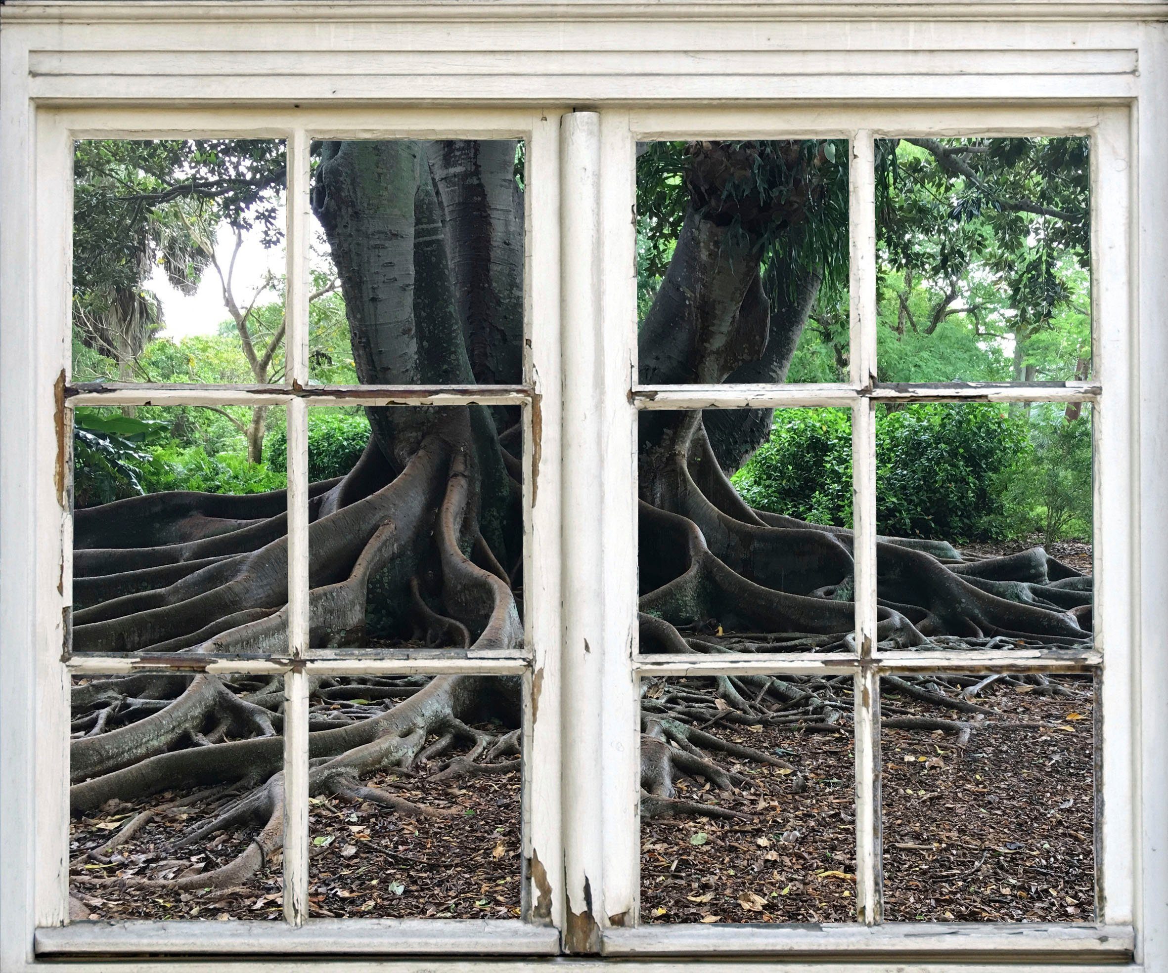 queence Wandsticker Baumwurzeln, Wandsticker, Wandbild, selbstklebend, 3D, Fenster