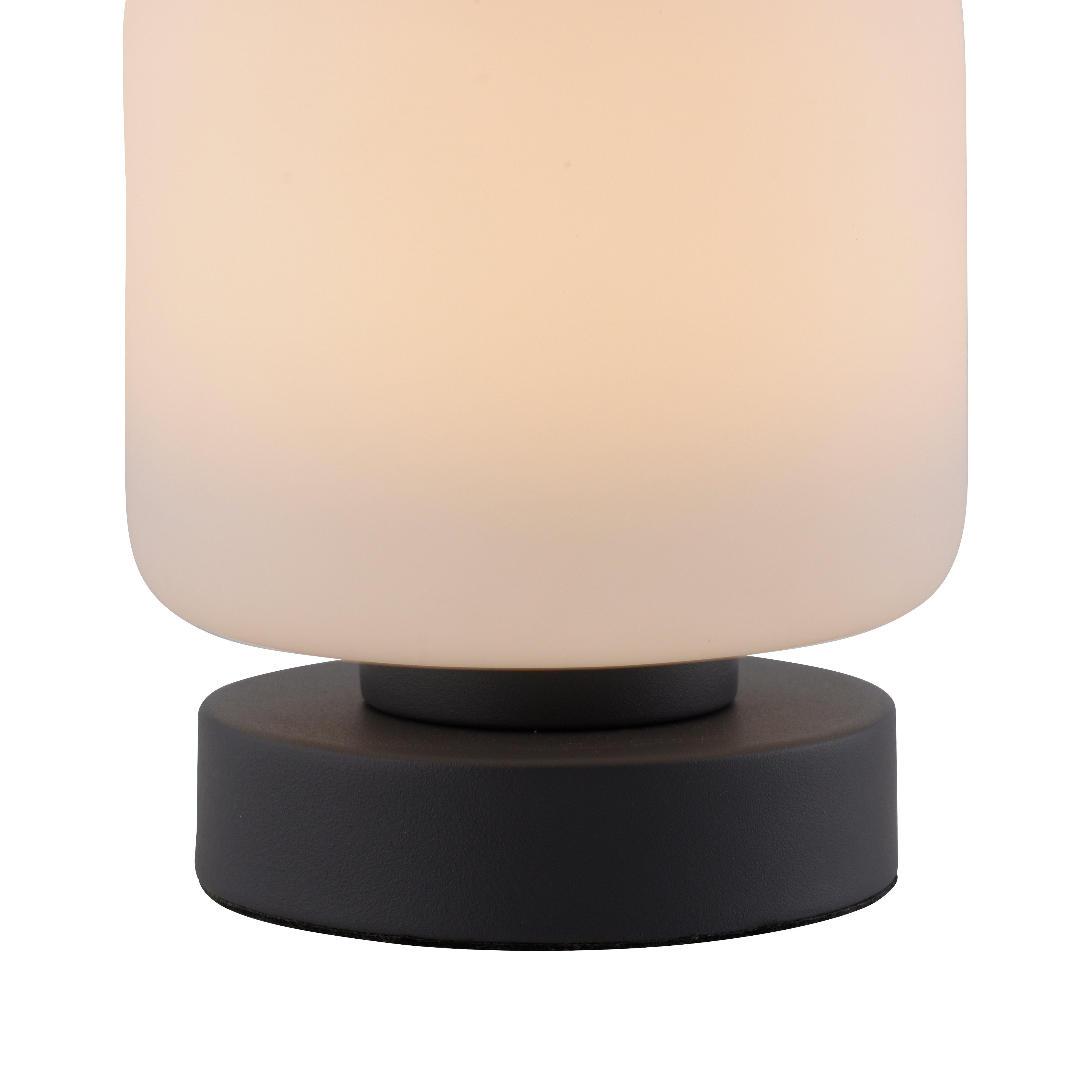 Paul Neuhaus Tischleuchte BOTA, LED fest integriert, Warmweiß, LED, dimmbar über Touchdimmer