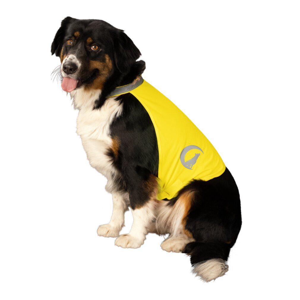 Nightwalk Hunde-Halsband Dog Safety Vest Yellow Medium